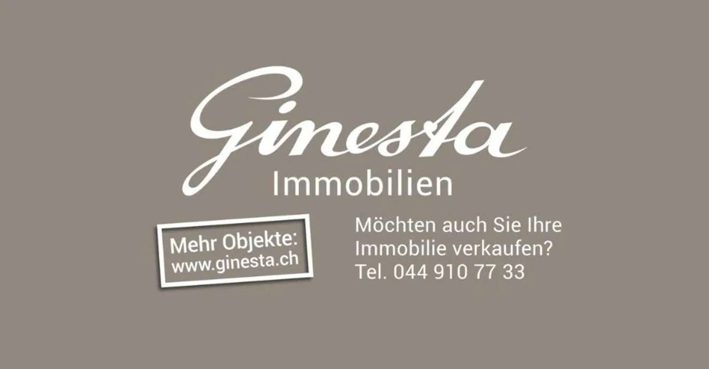 Zürich District 6: Maisonette Apartment with Rooftop Terrace and Panoramic View - Photo 5 of 5