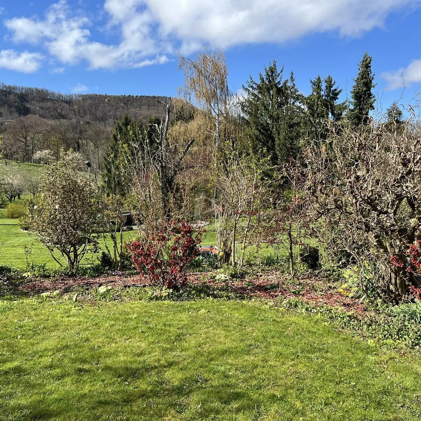 Charmantes Einfamilienhaus mit Garten - Foto 5 von 6