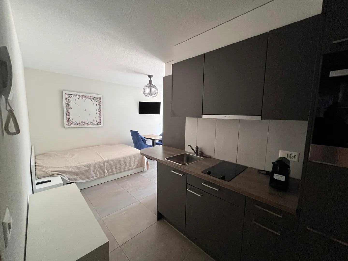 Furnished studio located at Chemin des Diablerets 2, 1012 Lausanne - Photo 1 of 5