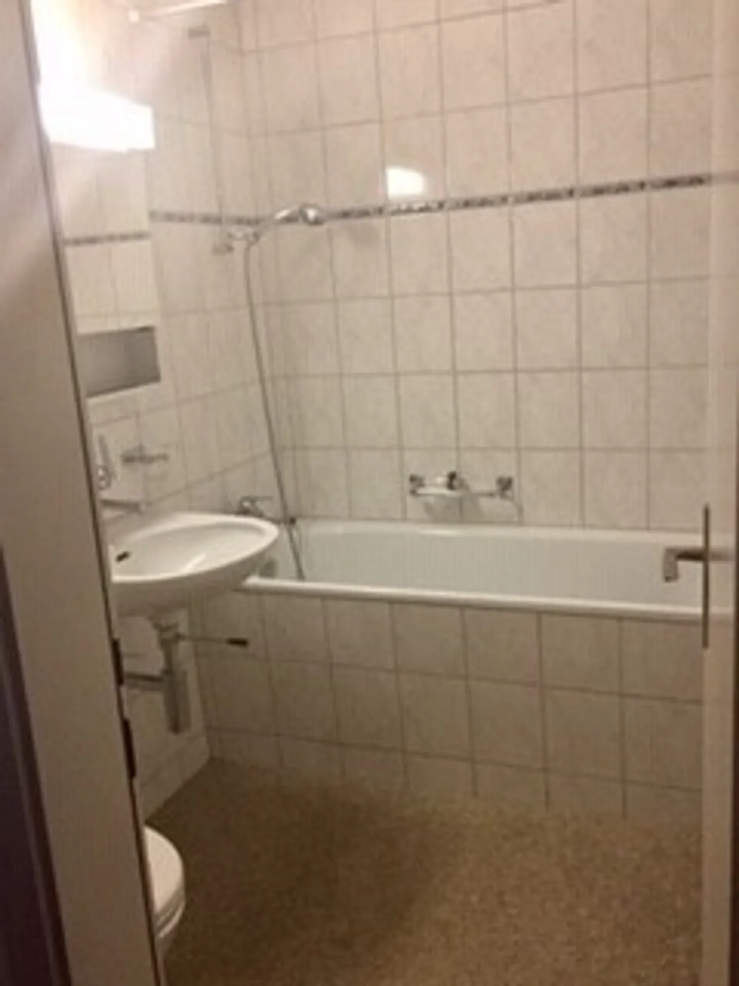 Beautiful Apartment in the Center of Bern - Photo 4 of 8