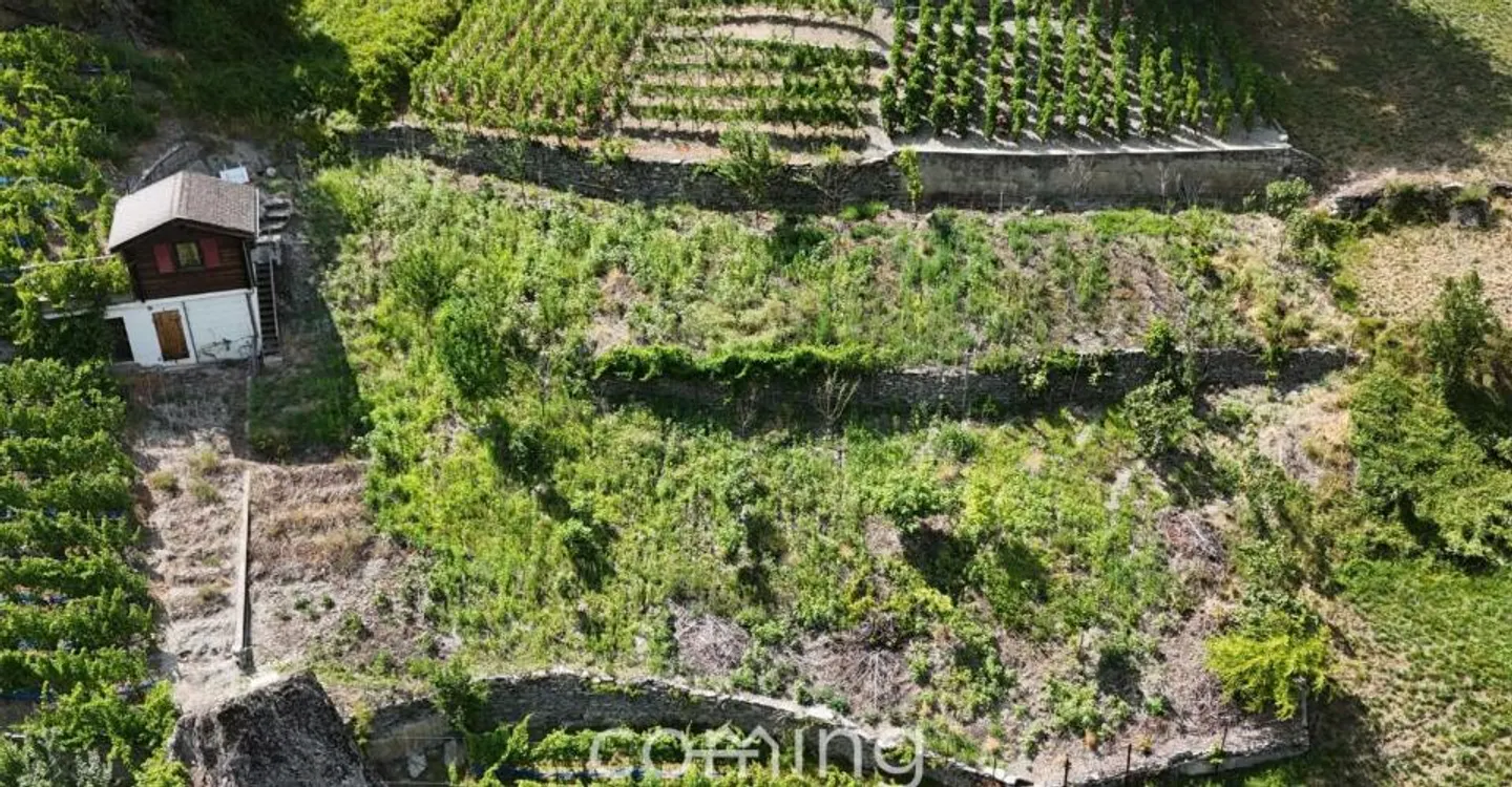 Terrain commercial - Photo 3 sur 10