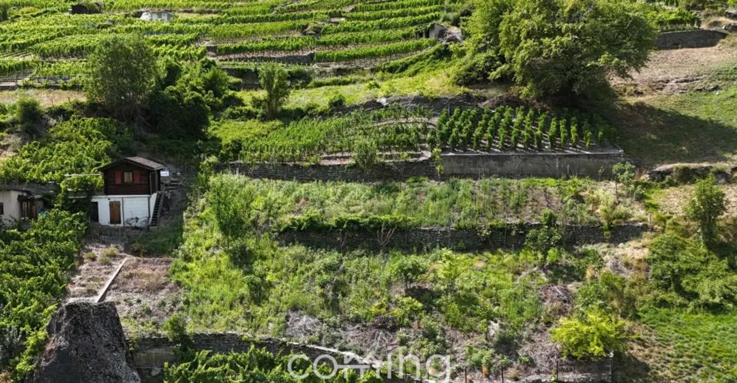 Terrain commercial - Photo 4 sur 10