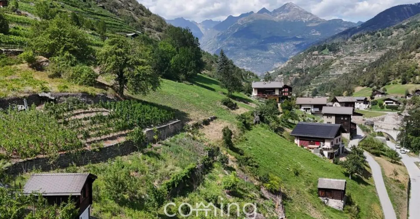 Terrain commercial - Photo 7 sur 10