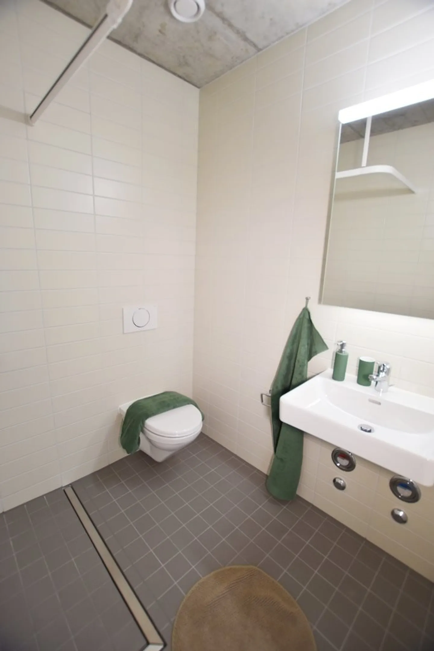 Moderno appartamento di 2,5 stanze con grande terrazza sul tetto condivisa - Foto 5 di 9