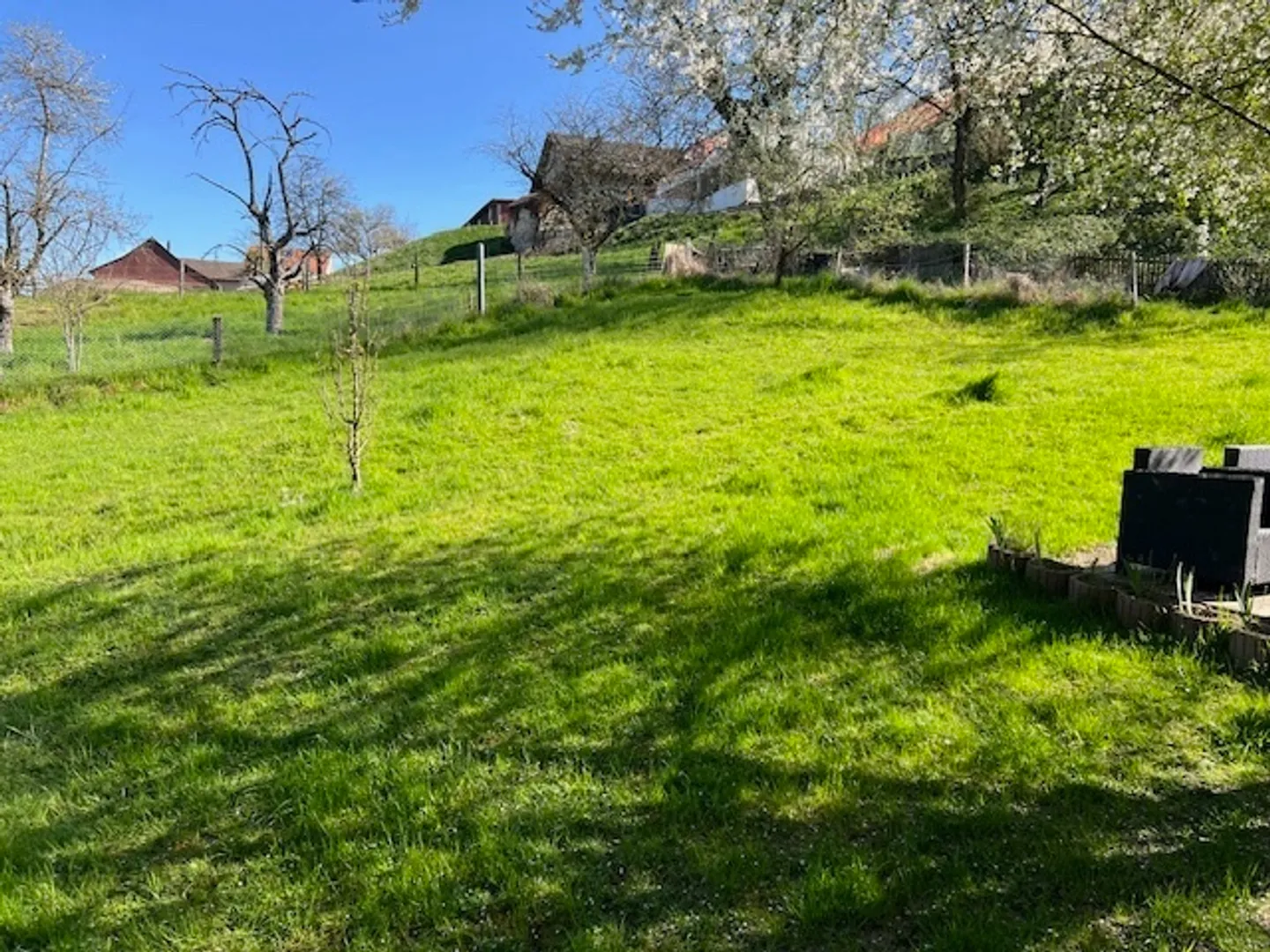 Casa singola in affitto - Foto 12 di 13