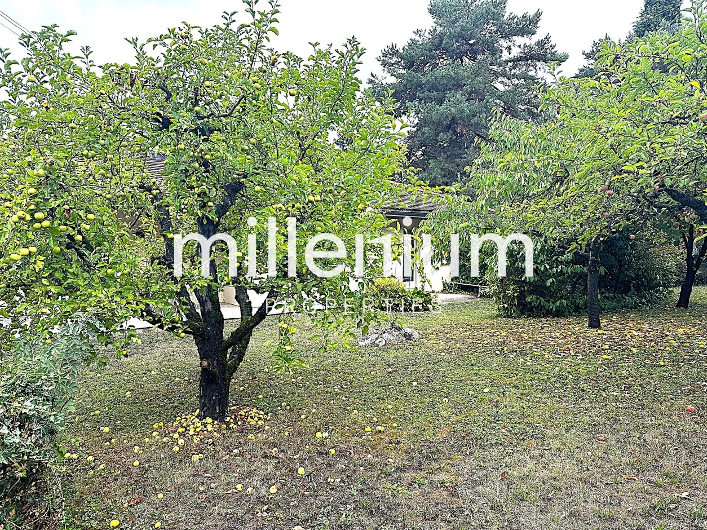 Casa 7 stanze - Foto 2 di 11