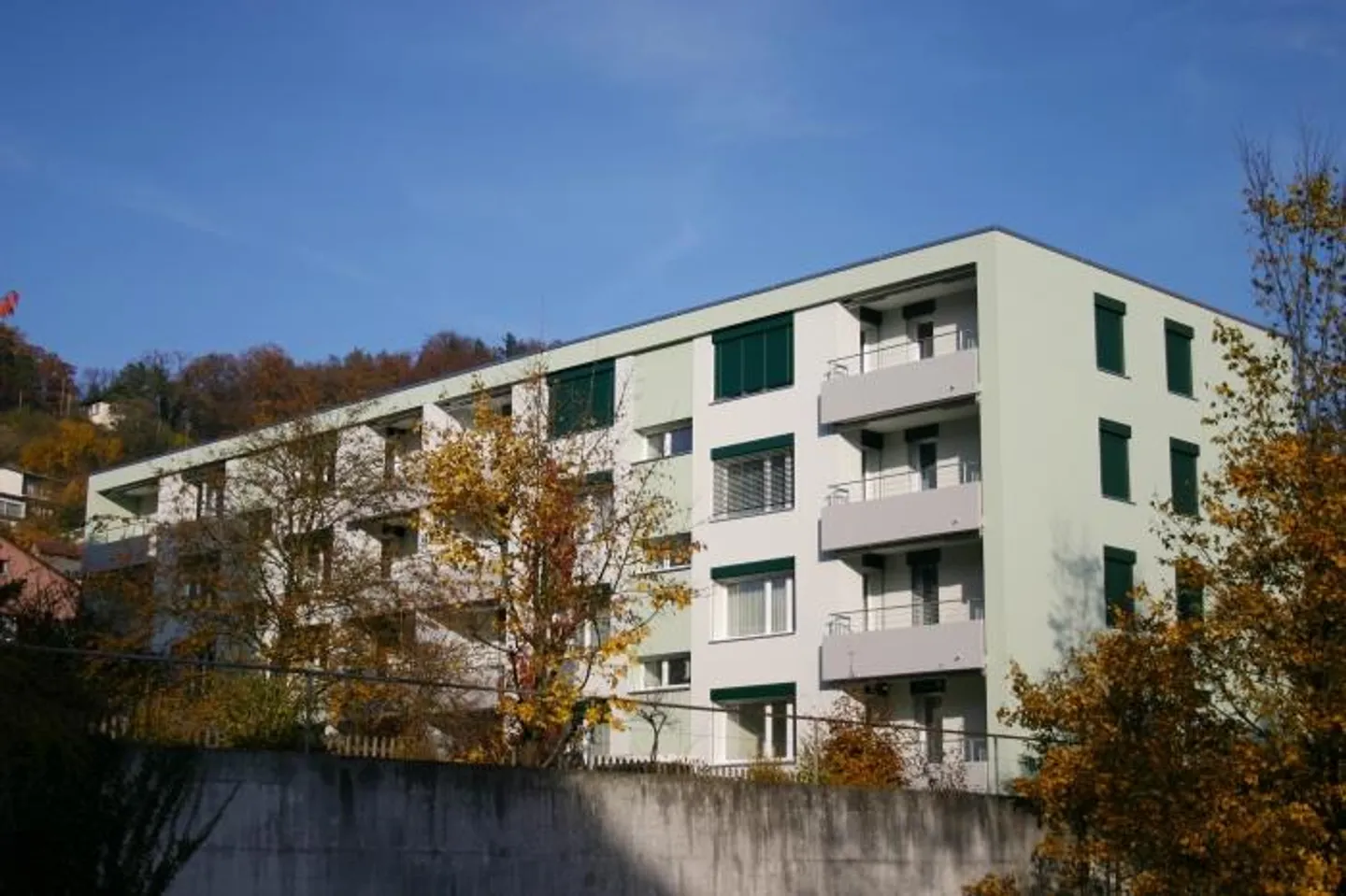Spacious and bright 3.5-room apartment in Erlinsbach for ... - Photo 1 of 5