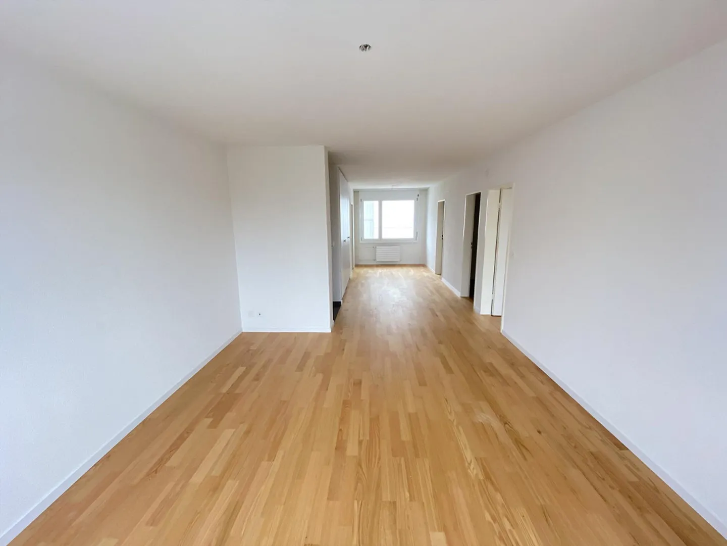 Spacious and bright 3.5-room apartment in Erlinsbach for ... - Photo 3 of 5