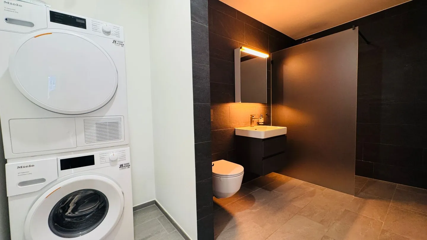 Appartamento al piano terra di 3,5 stanze, di nuova costruzione, in standard di proprietà con ingresso privato, torre di lavaggio privata e WC separato - Foto 6 di 12