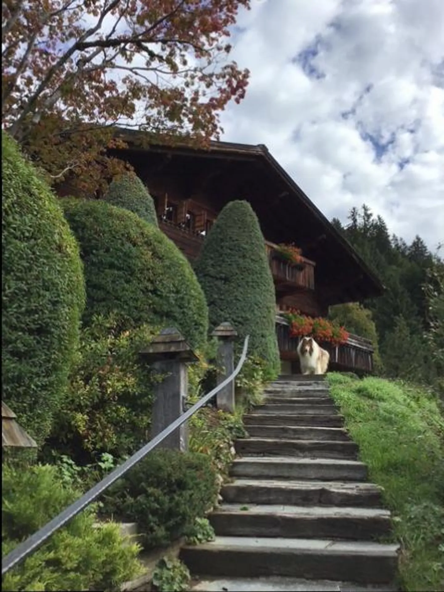 Chalet à vendre - Photo 21 sur 47