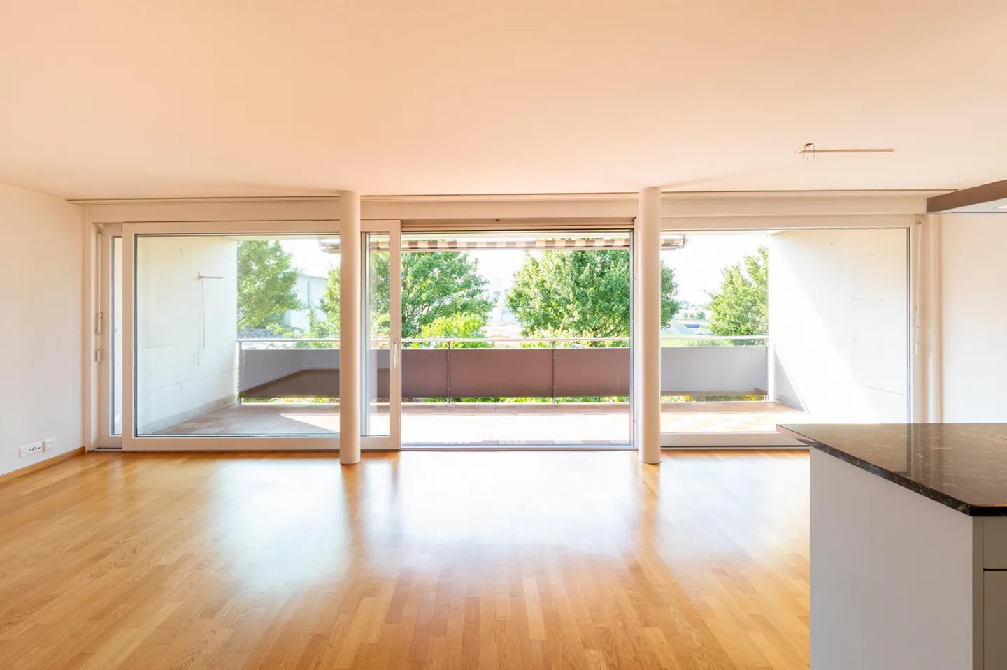 Attractive apartment with large west balcony - Photo 2 of 12