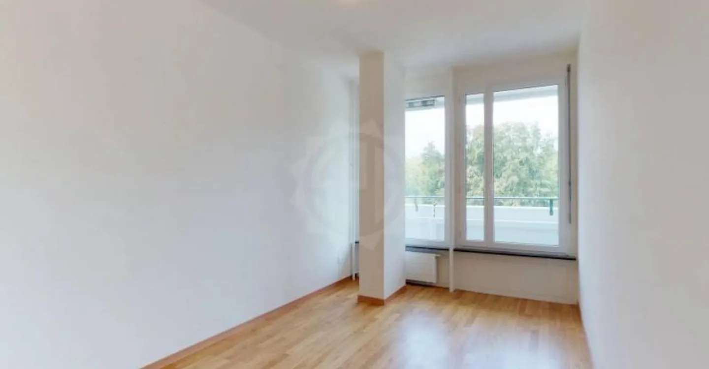 Beautiful apartment - Geneva - Photo 4 of 5
