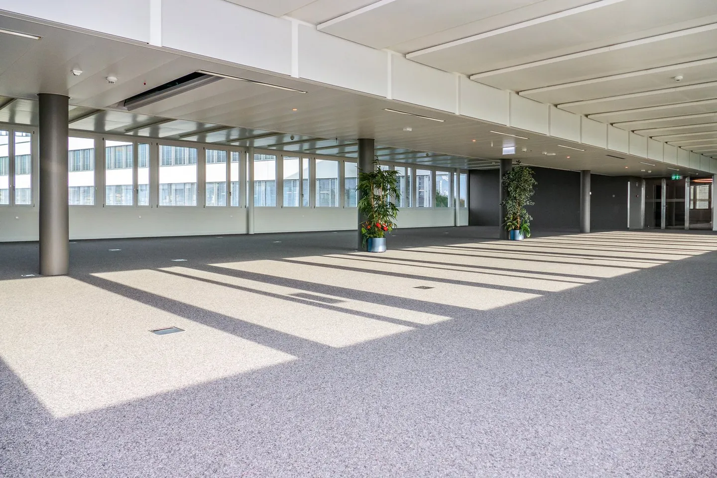 1'424 m2 - Superbes espaces de bureau à côté de Biopôle - Photo 3 sur 10