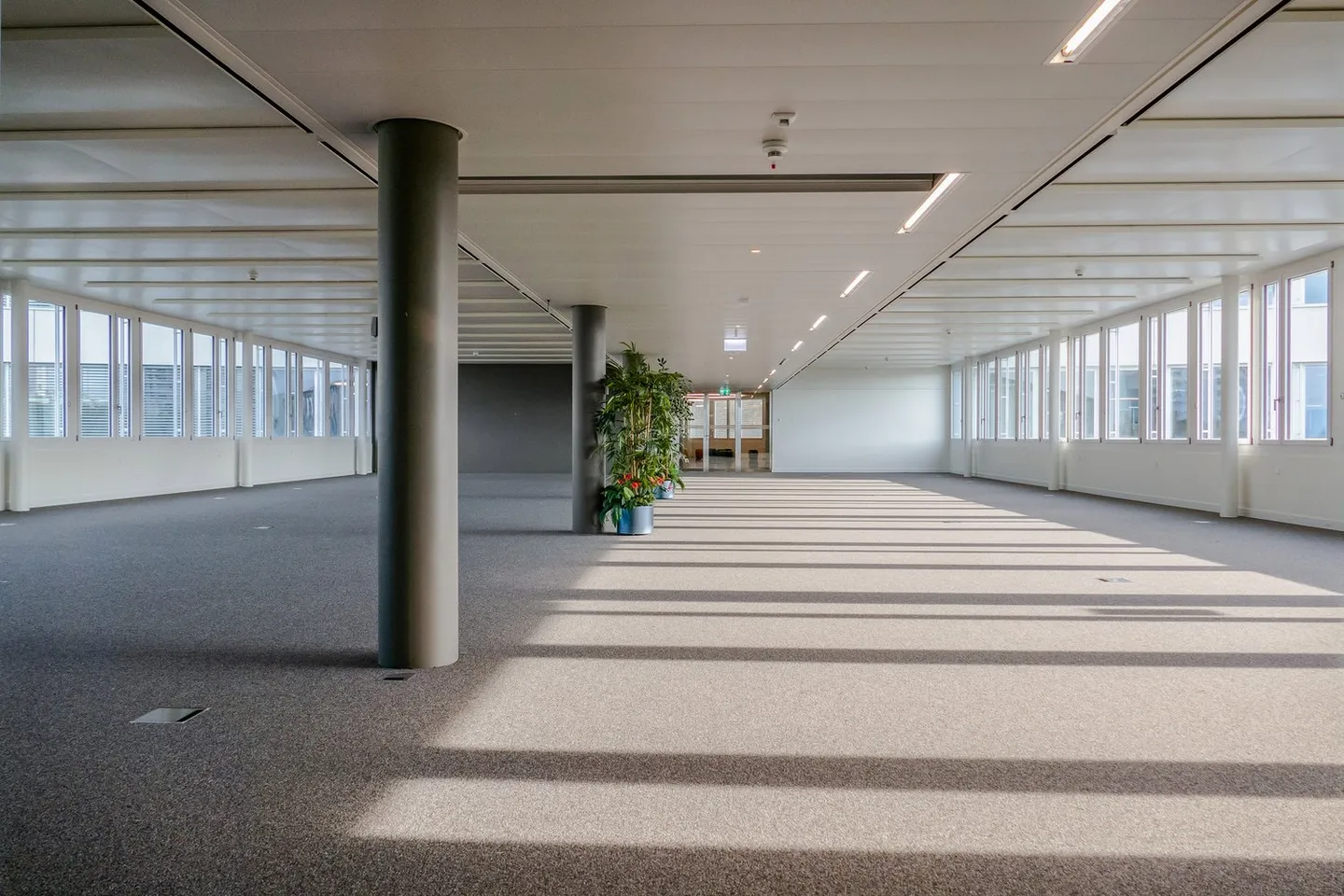 1'424 m2 - Superbes espaces de bureau à côté de Biopôle - Photo 6 sur 10