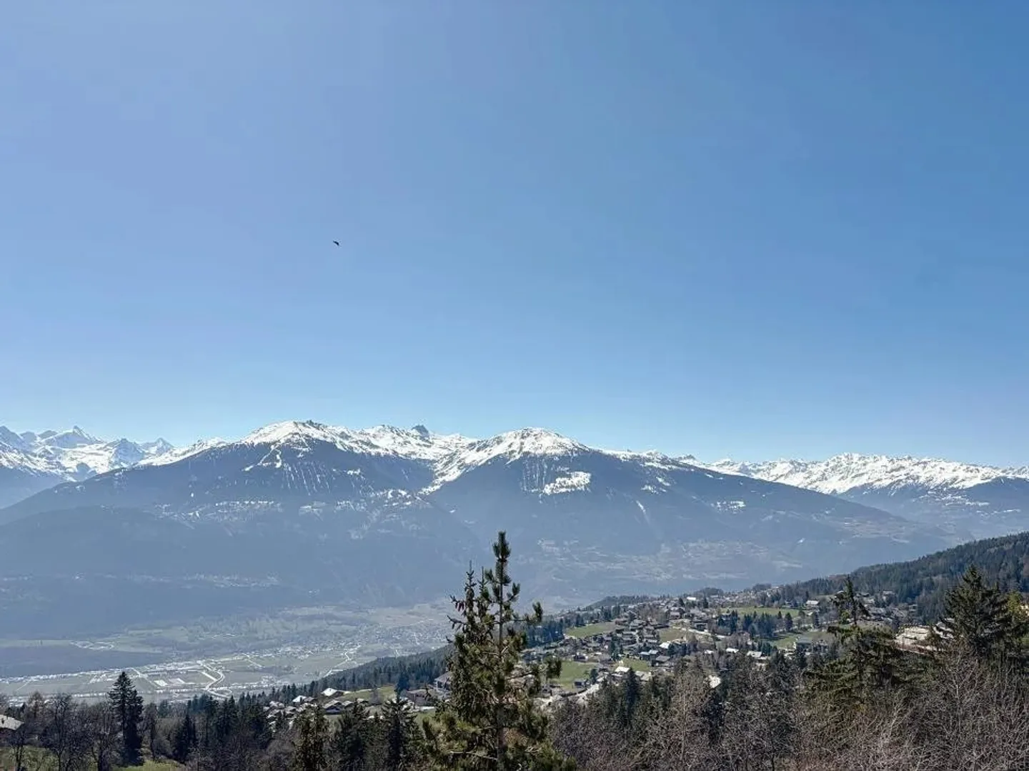 Esclusività - Bellissimo appartamento di 3,5 stanze con vista mozzafiato - Foto 2 di 5