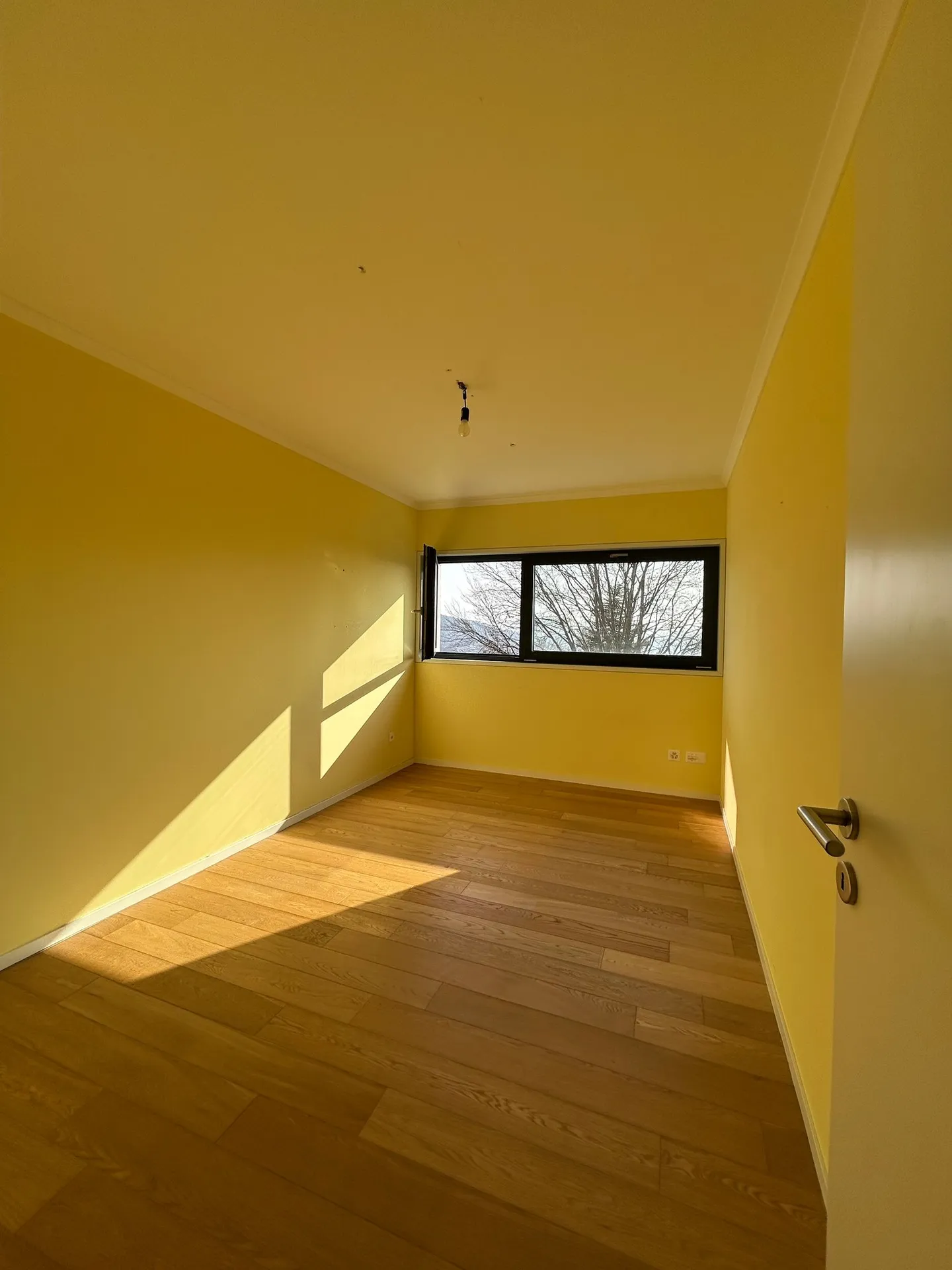 Spacious Apartment with Terrace - Photo 9 of 10