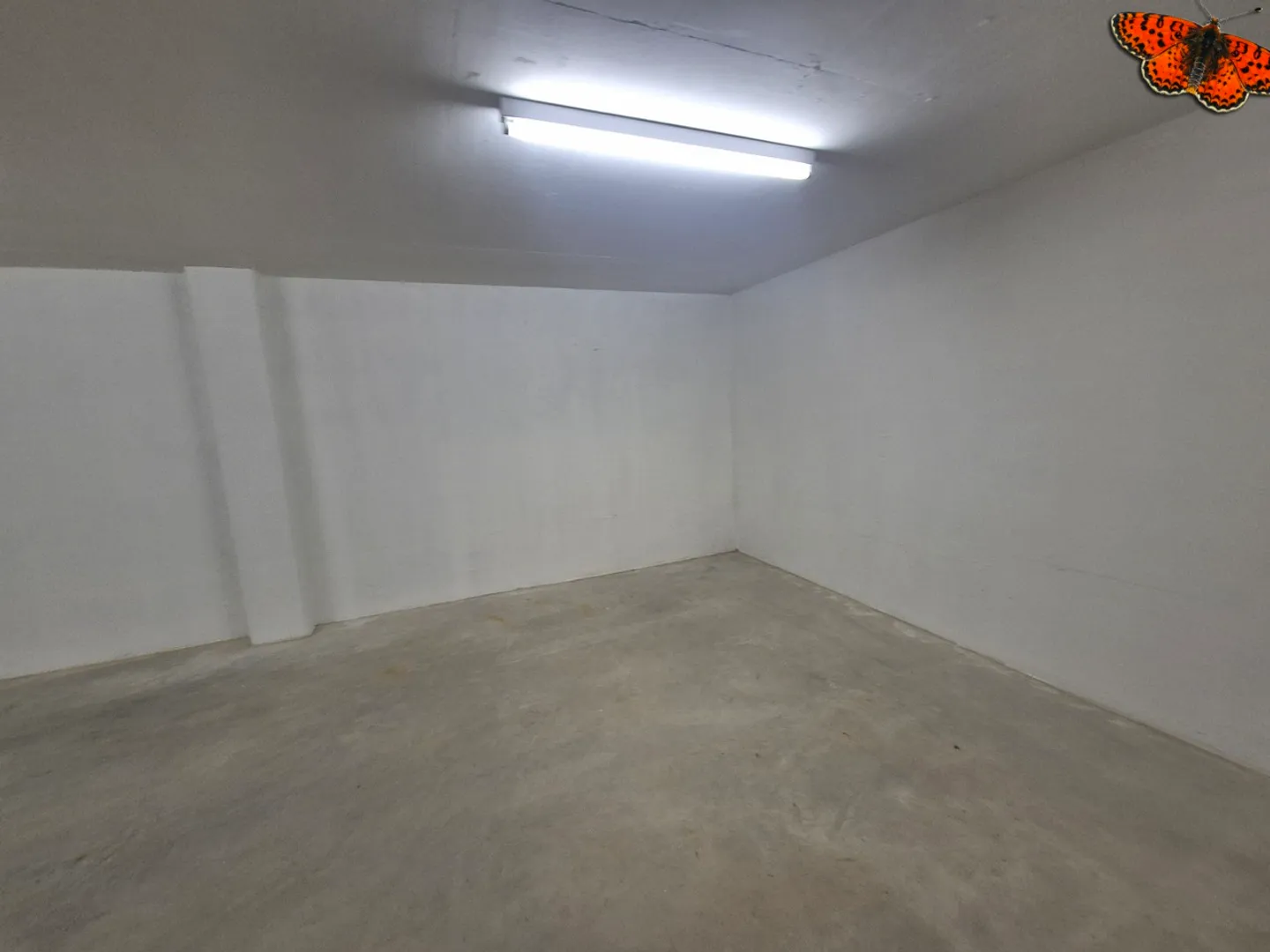 GRANDE ESPACE DE STOCKAGE DE 52 M² À LOUER - SIVIRIEZ - Photo 5 sur 6