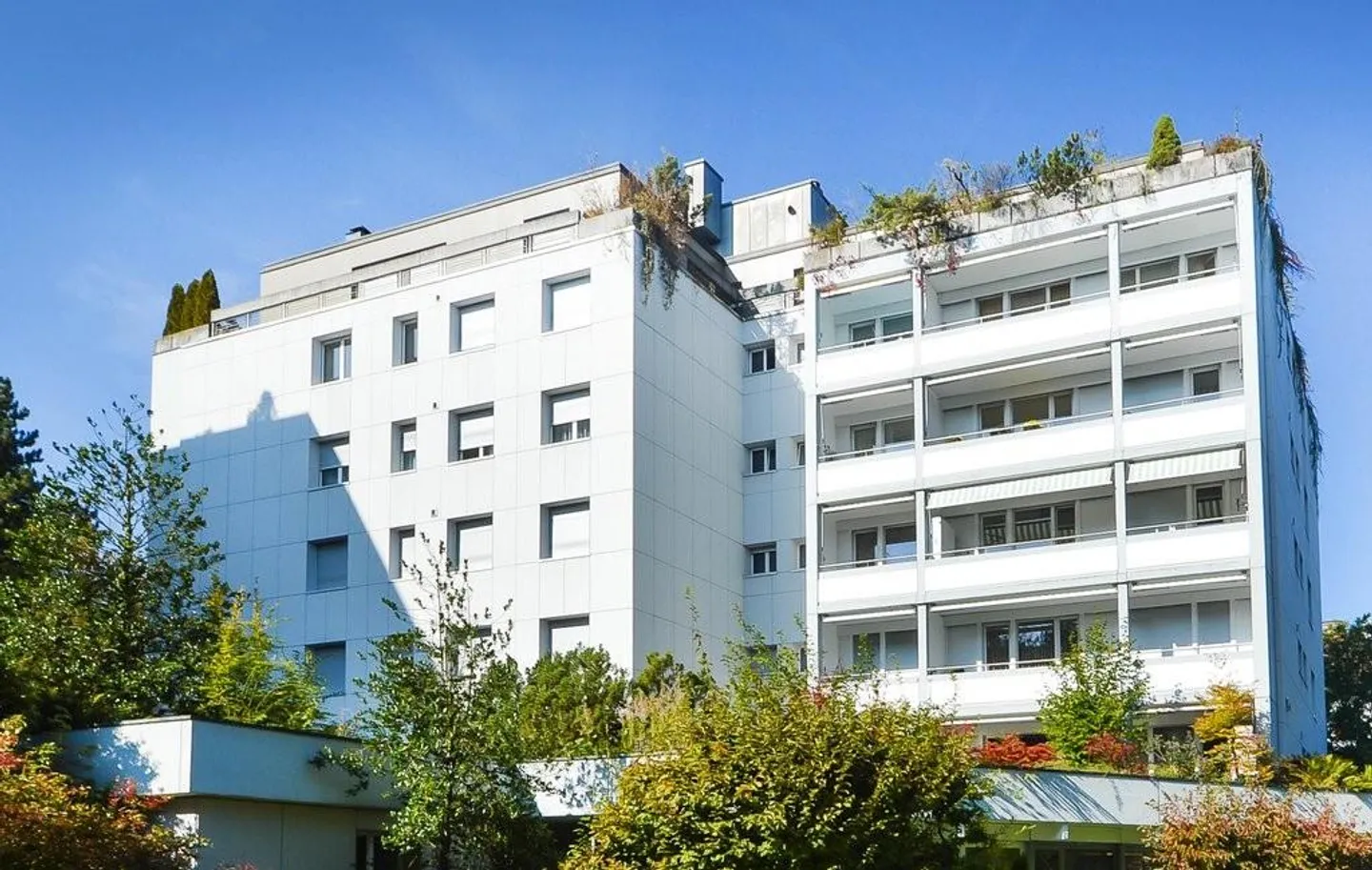 Bel appartement dans le quartier de Breitenrain - Photo 1 sur 6