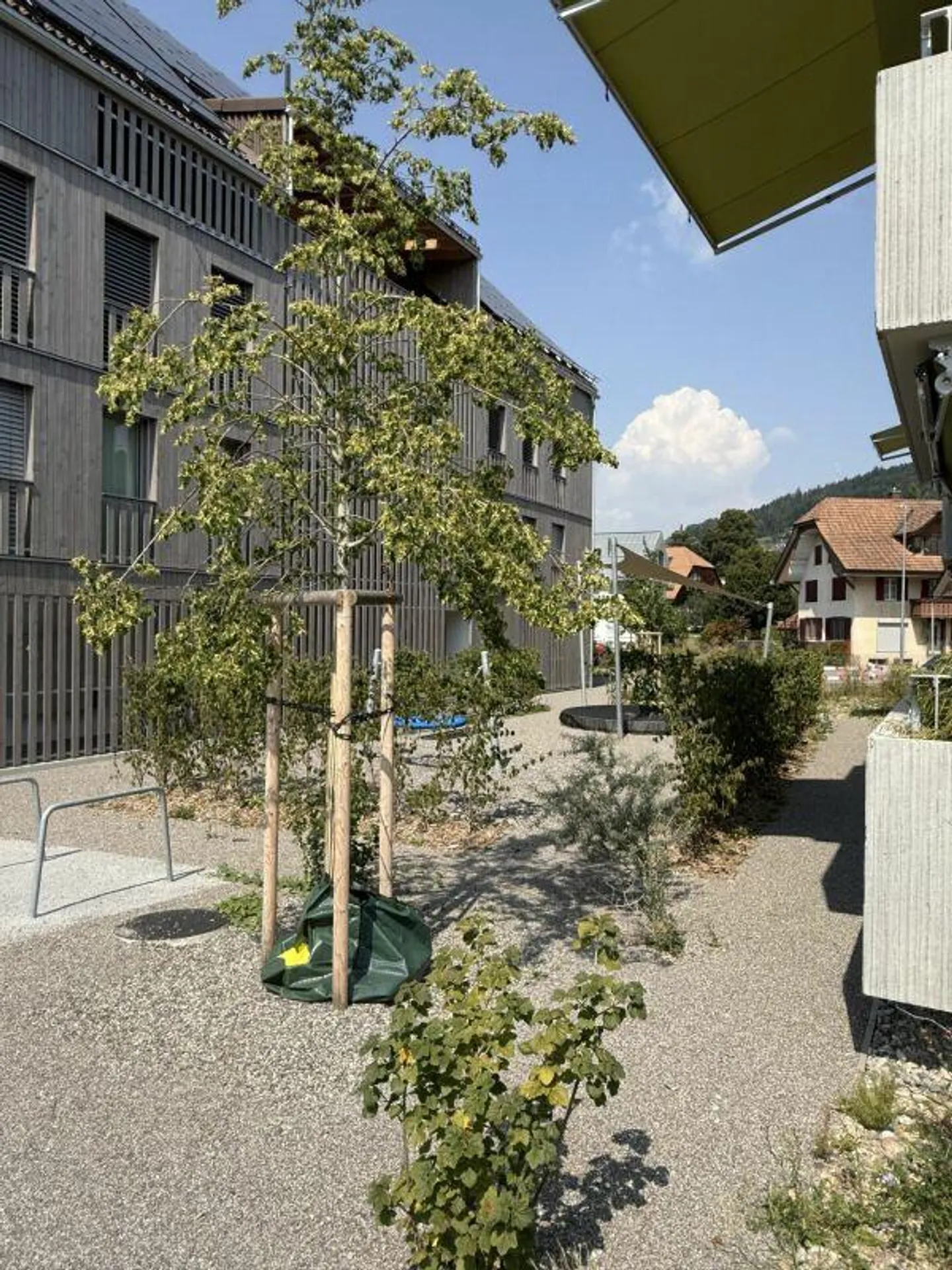 Neue 2.5-Zimmerwohnung mit Wintergarten - Foto 11 von 11