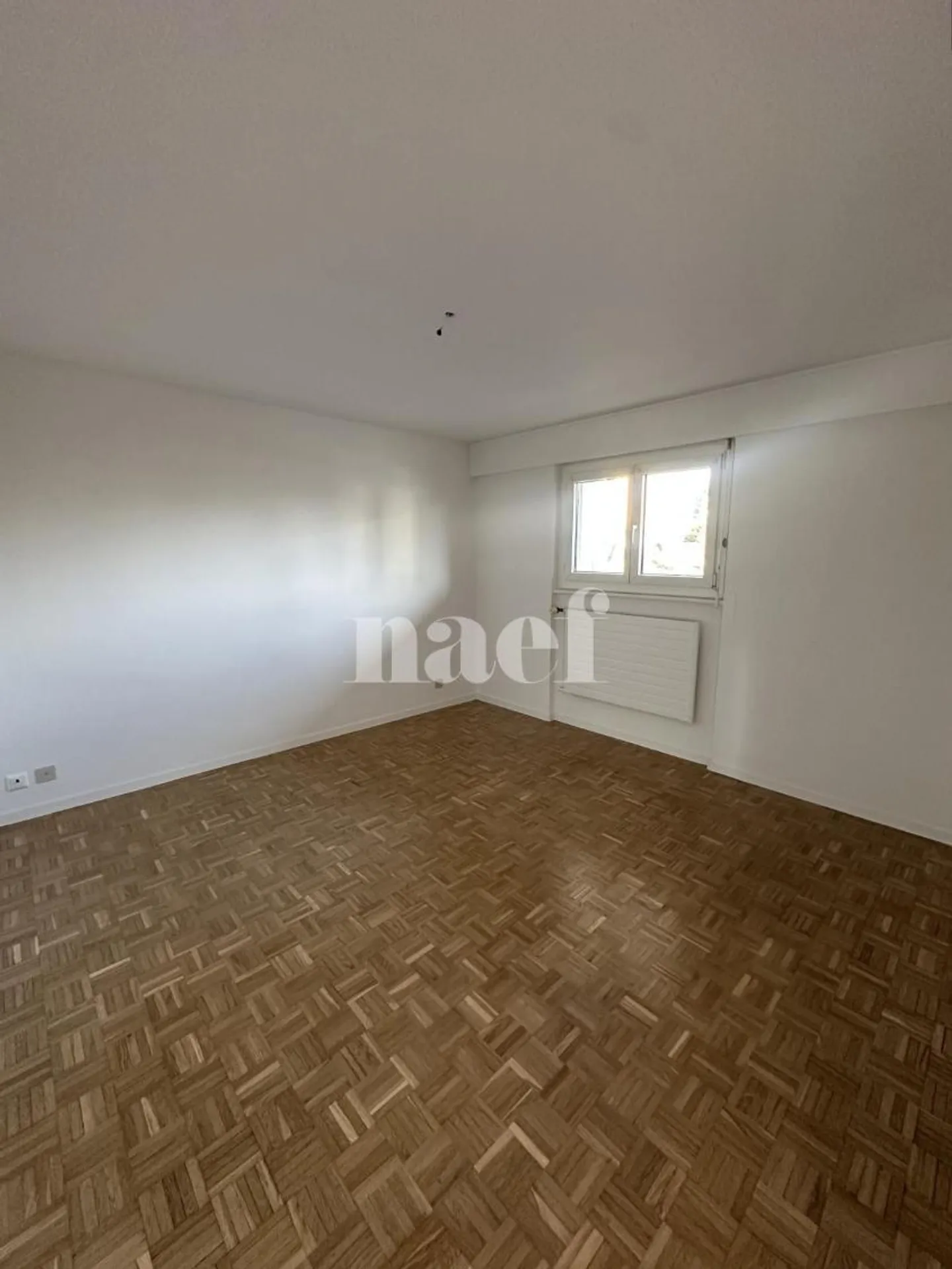 Appartamento bilocale al piano terra - Foto 3 di 4