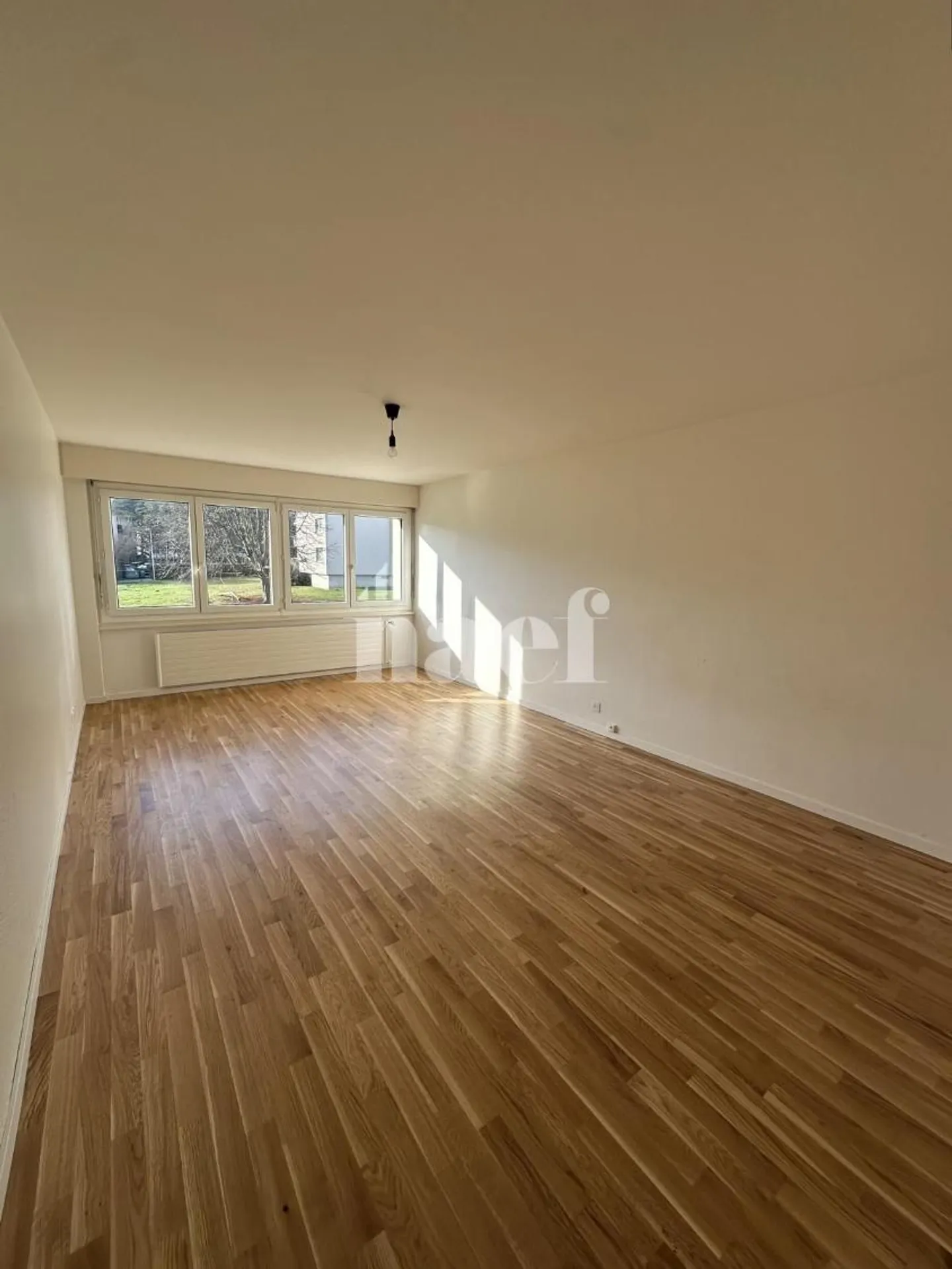 Ground Floor Studio - Photo 1 of 3