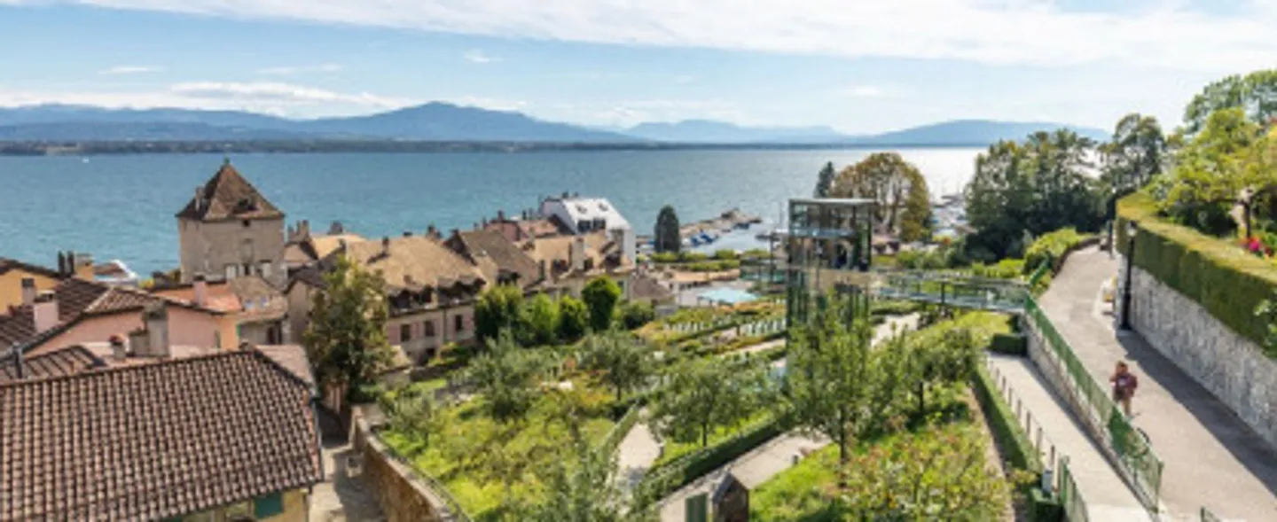 Vieni a scoprire il Domaine des Mésanges - Foto 1 di 3