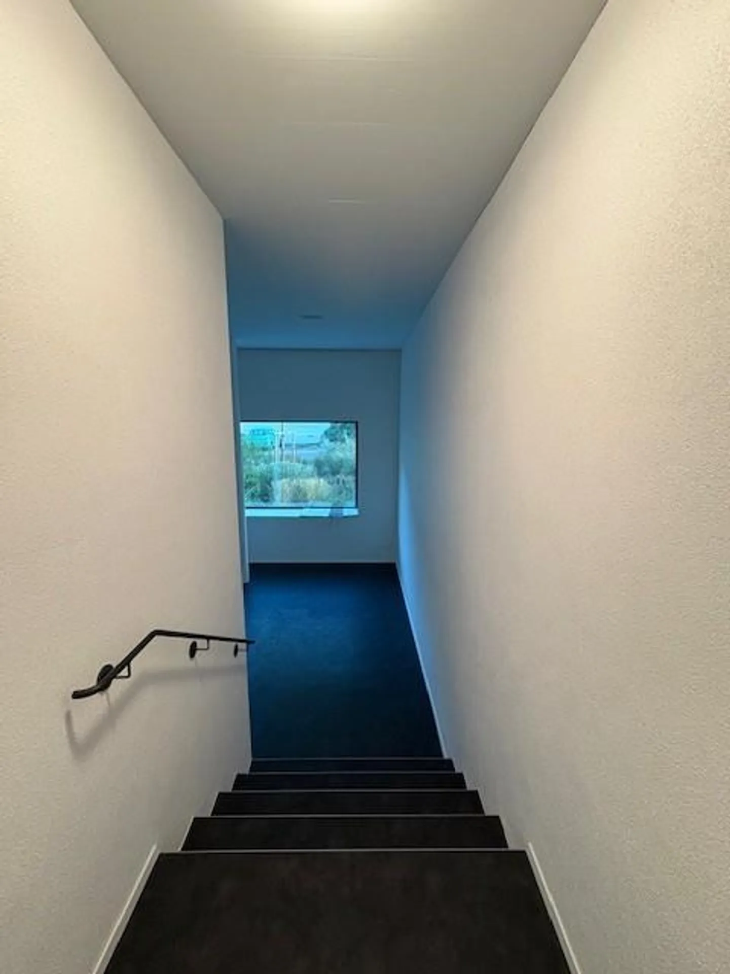 Kreativer Atelierraum zu Vermieten - Foto 3 von 6