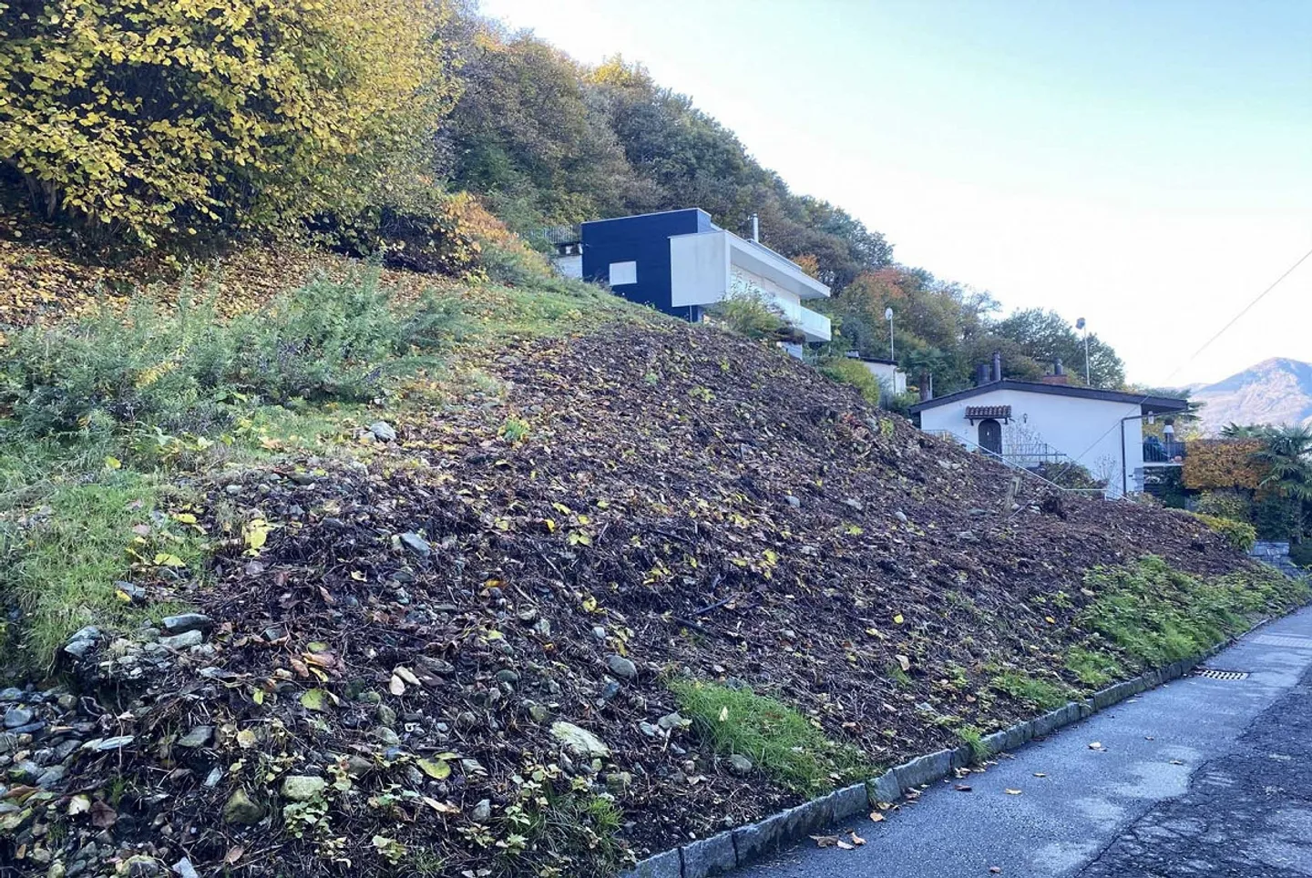 Terrain à bâtir avec vue sur le lac à Gerra Gambarogno - Photo 3 sur 5