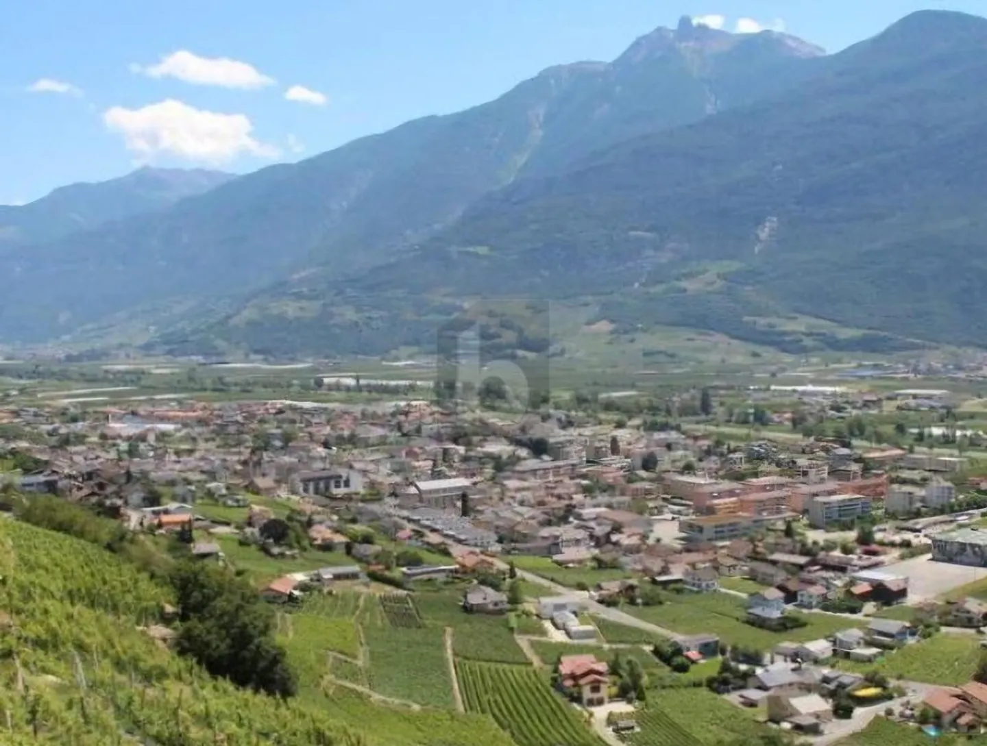 MAGNIFIQUE OUTIL DE TRAVAIL POUR LA RESTAURATION - Photo 1 sur 2
