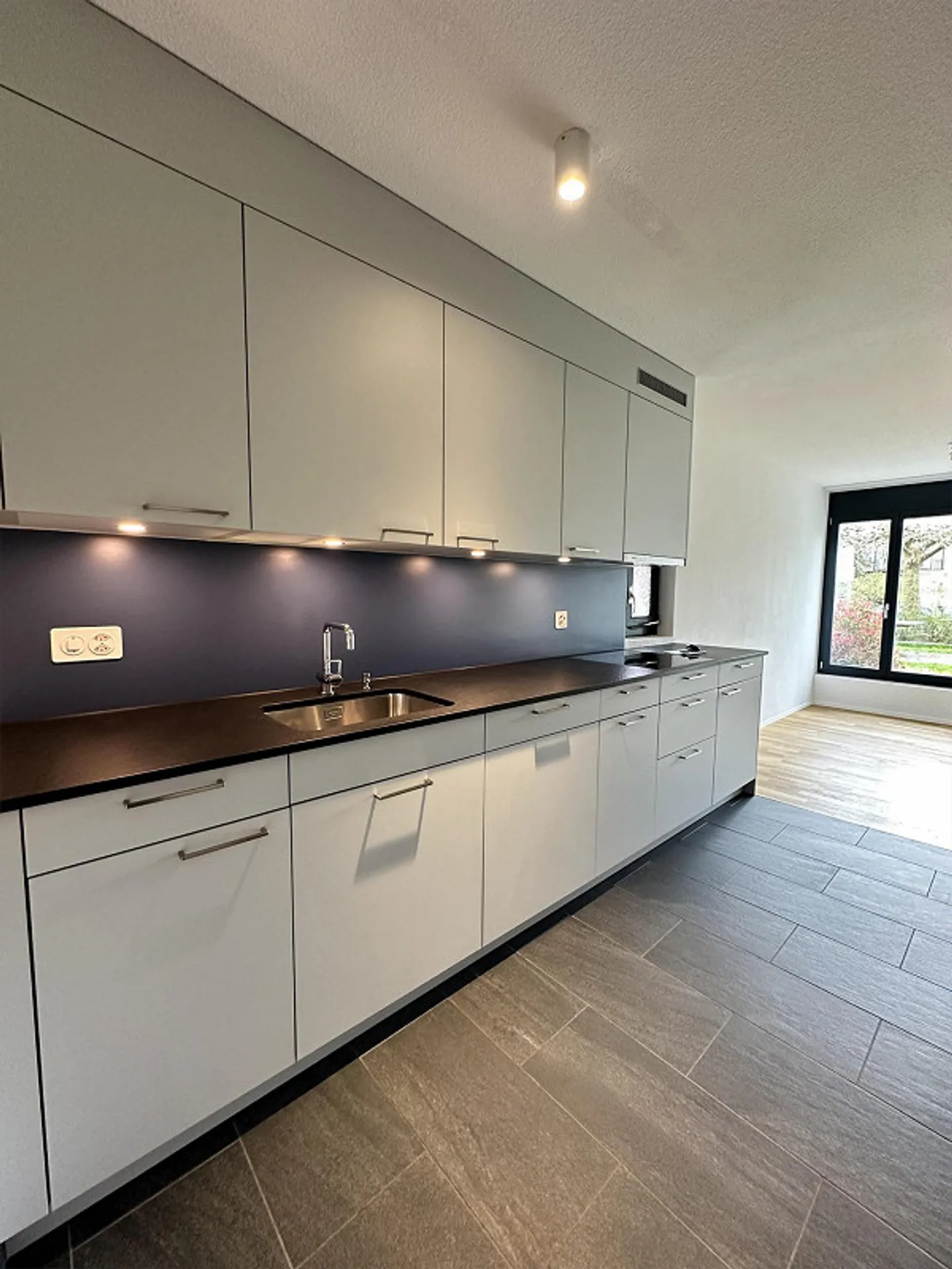 Maison de rêve au Friedhofwäg à Thun ! - Photo 1 sur 11