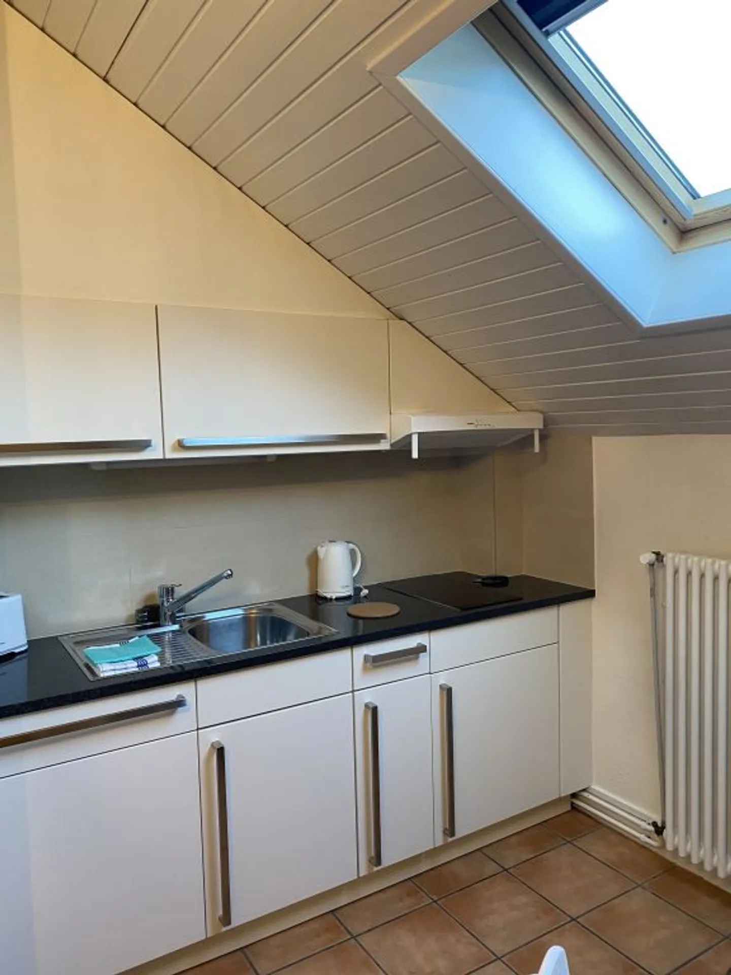 Bellissimo appartamento arredato e mansardato con 2 stanze a Carouge (Ginevra) - Foto 3 di 4