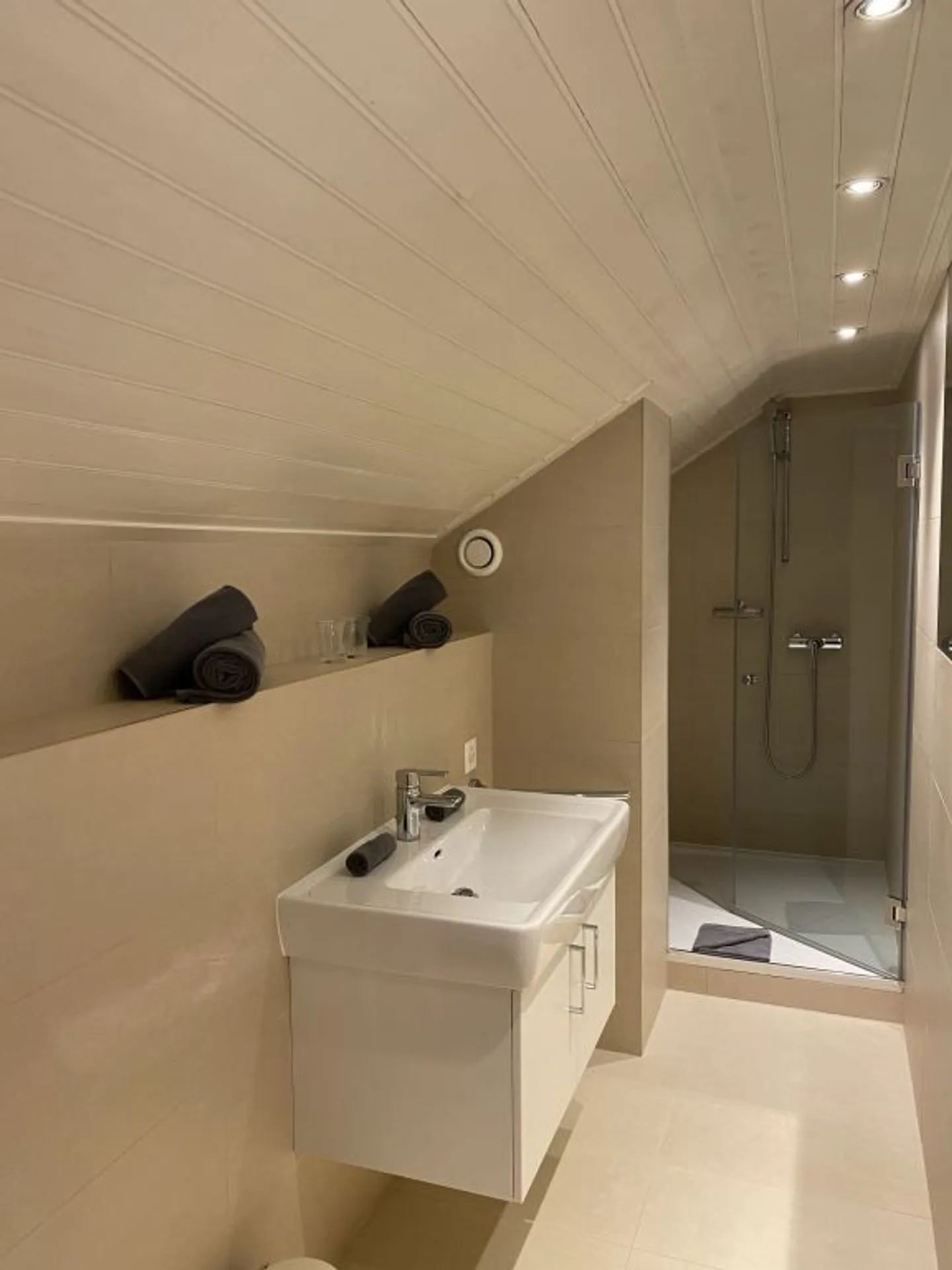 Bellissimo appartamento arredato e mansardato con 2 stanze a Carouge (Ginevra) - Foto 4 di 4