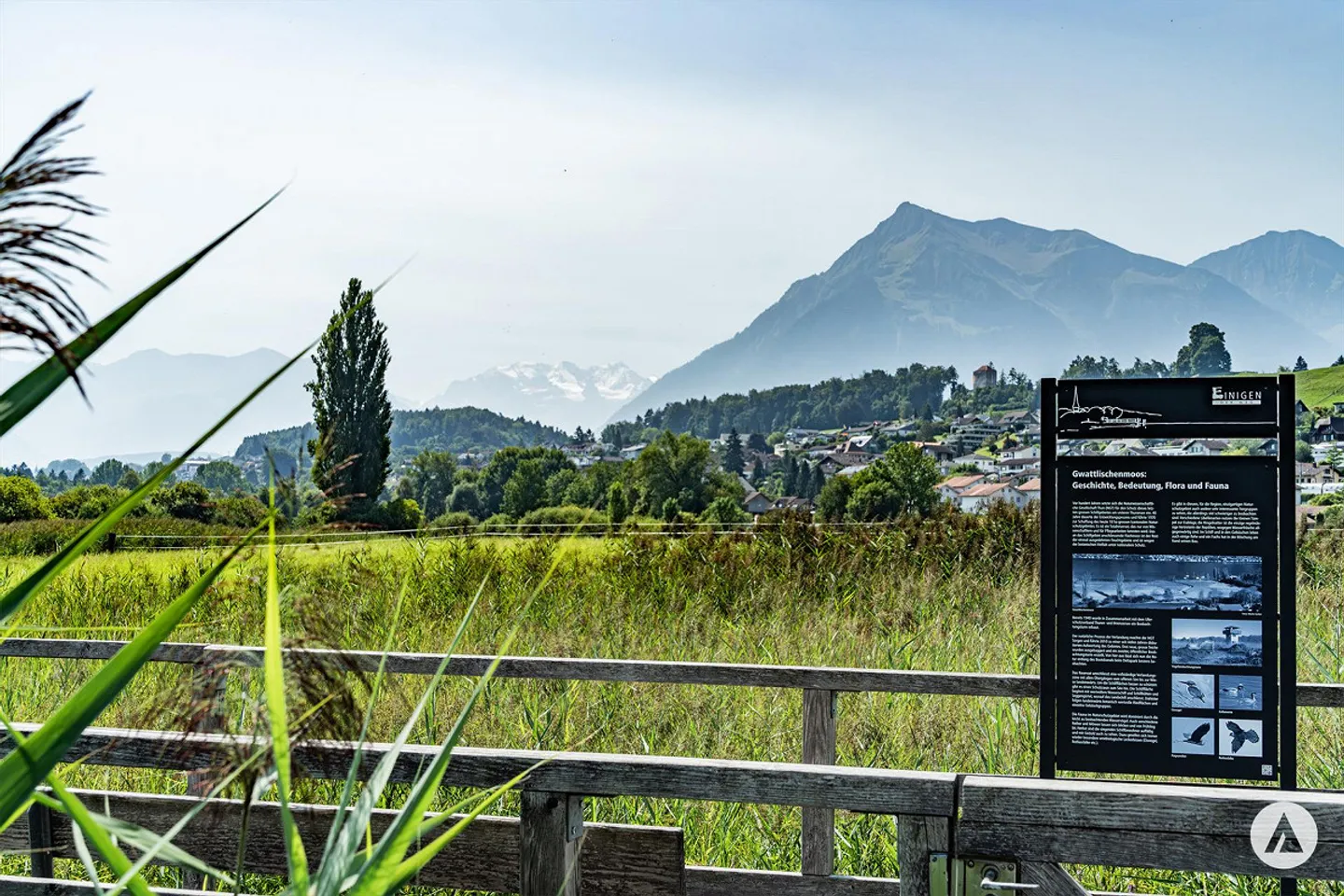 New Construction Project Gwattmoos: 4½-Room Apartment on the 1st Floor - Photo 8 of 13