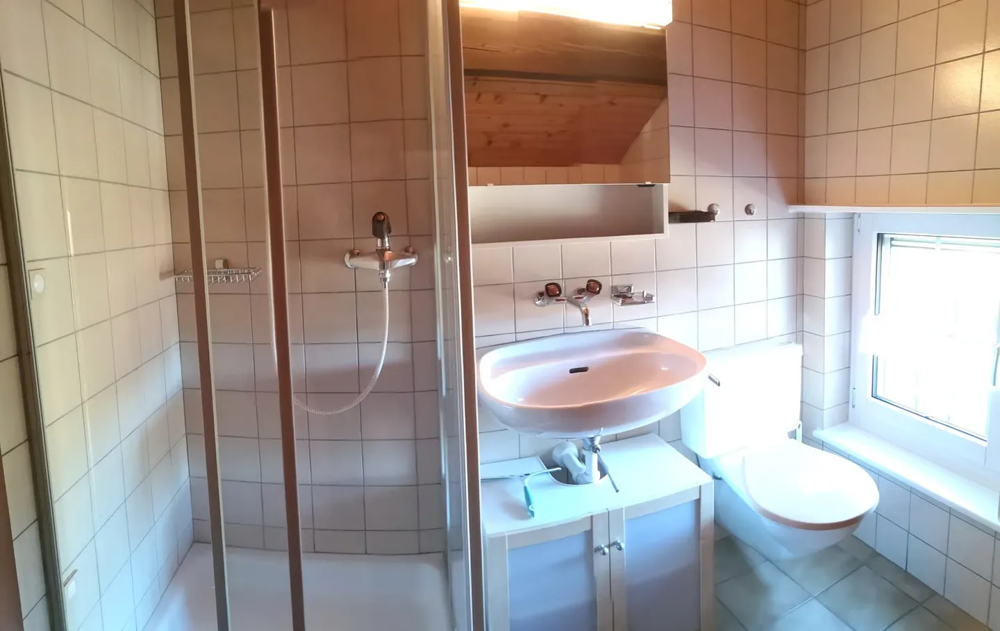 Magnifique maison individuelle de 7 pièces à la Montagne de Moutier (1130m) - Photo 55 of 64