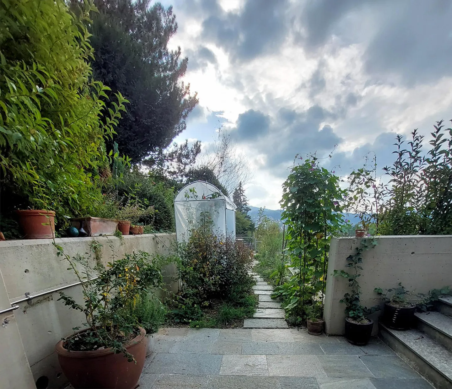 Terrace Apartment with Privacy - Photo 19 of 20