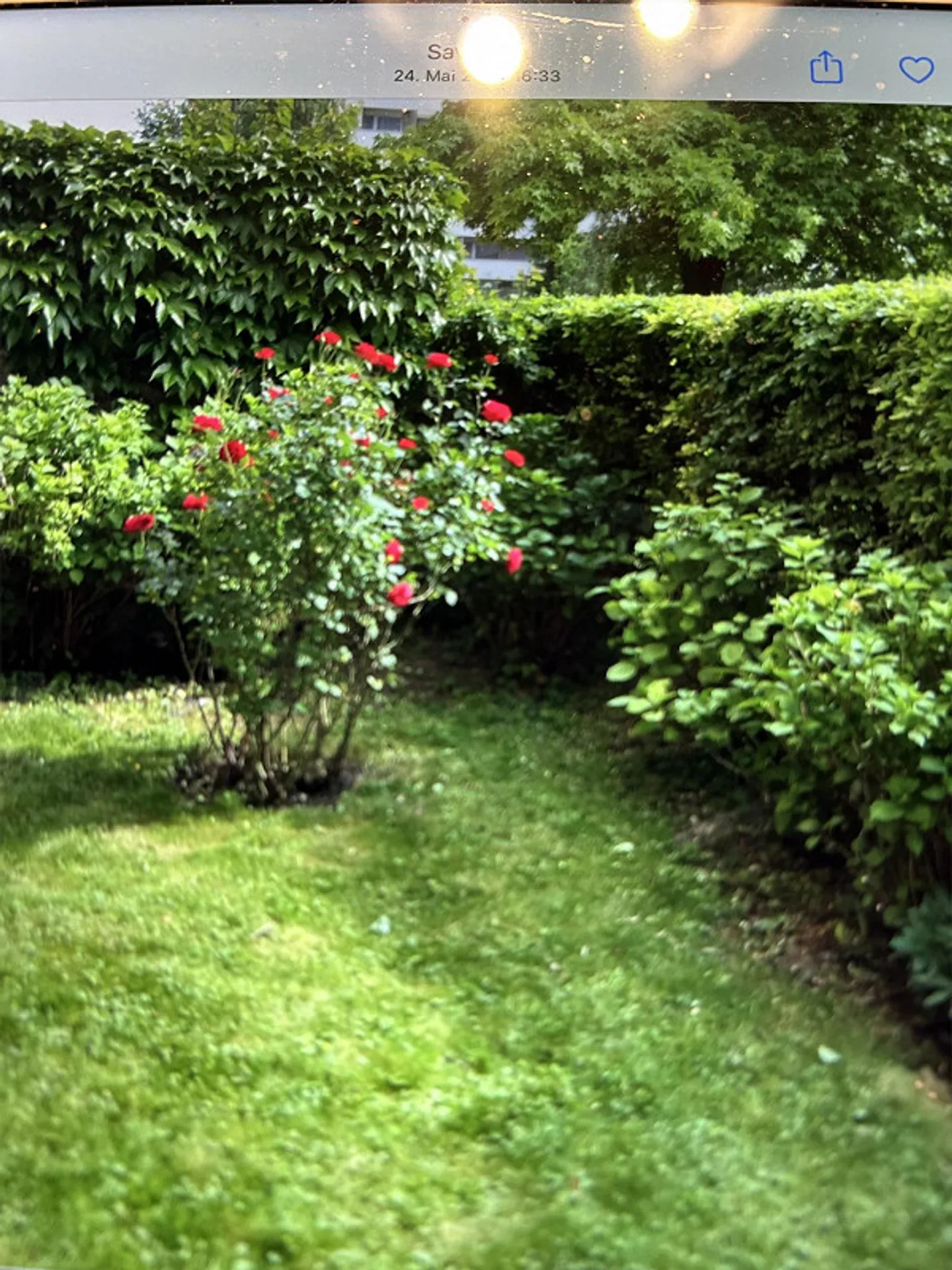 Wohnung - Foto 4 von 4