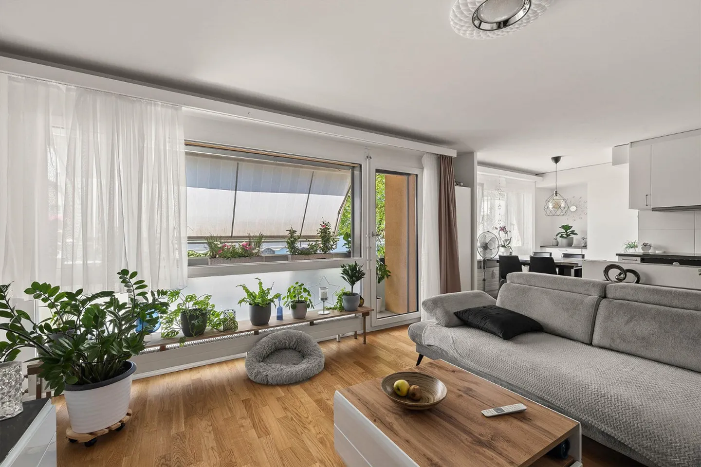 Casa plurifamiliare con 5 unità abitative e riserva di terreno adiacente - Foto 3 di 17