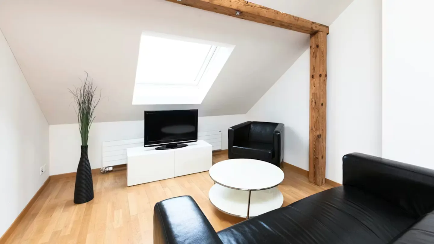 Chic Apartment in Zürich - Photo 2 of 4