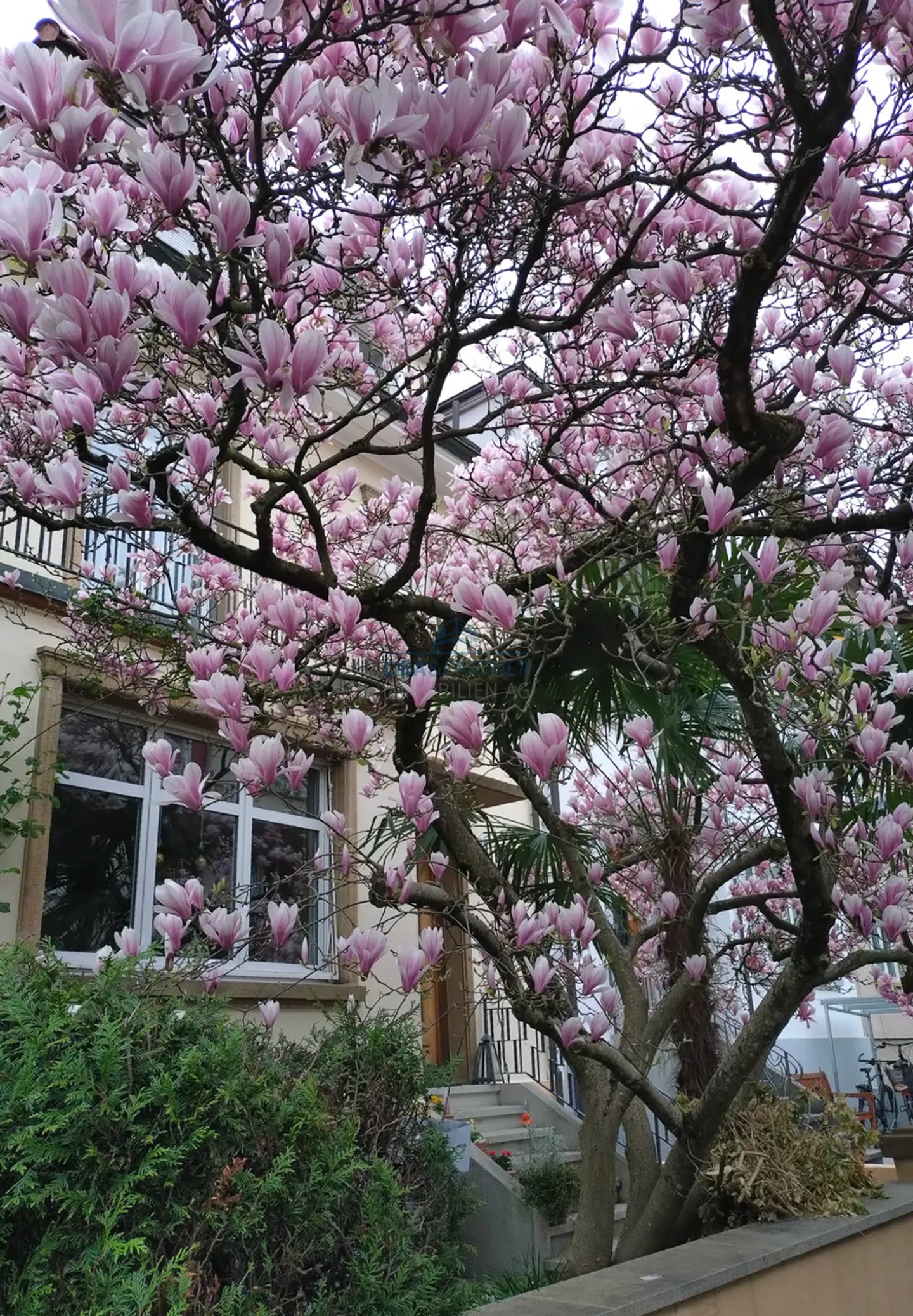 Maison de ville rénovée avec style, 6 chambres, jardin et terrasse - Photo 14 sur 14