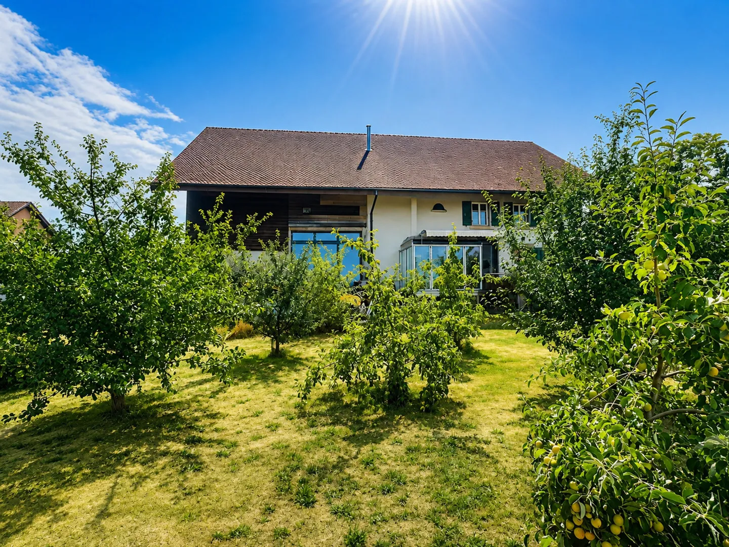 Grande casa in viager semi-occupato senza affitto con grande potenziale - Foto 4 di 17
