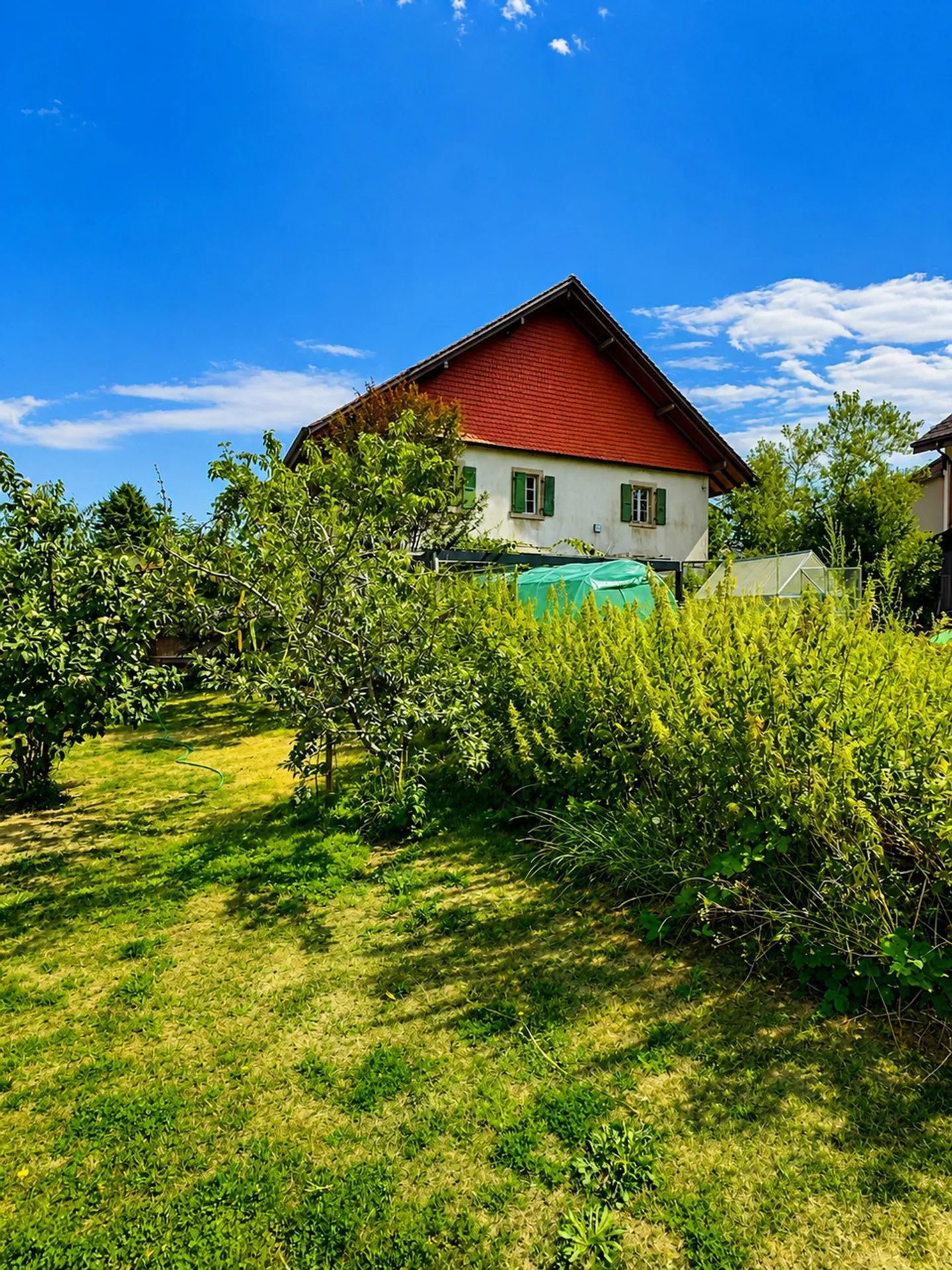 Grande casa in viager semi-occupato senza affitto con grande potenziale - Foto 5 di 17