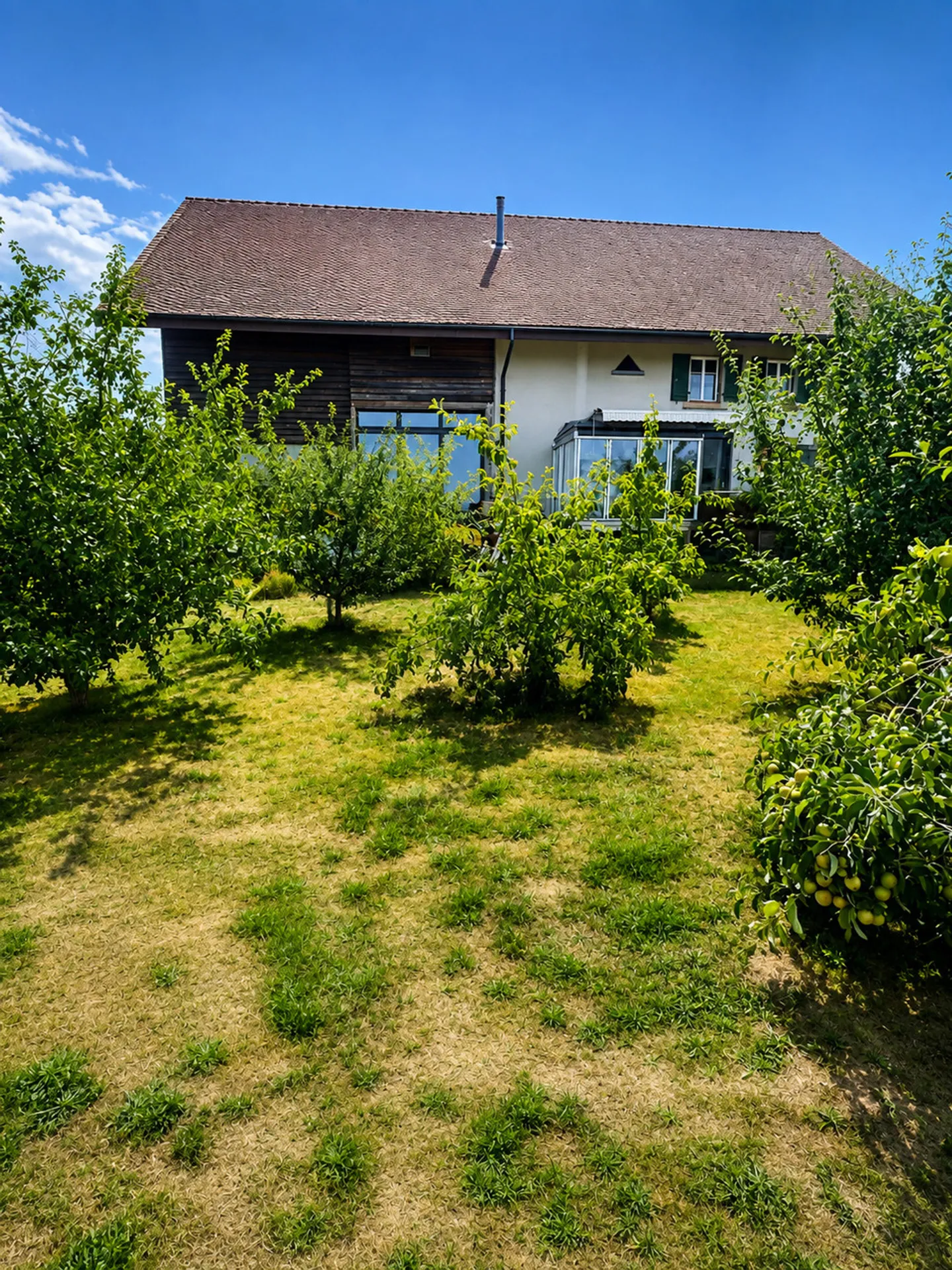 Grande casa in viager semi-occupato senza affitto con grande potenziale - Foto 3 di 17