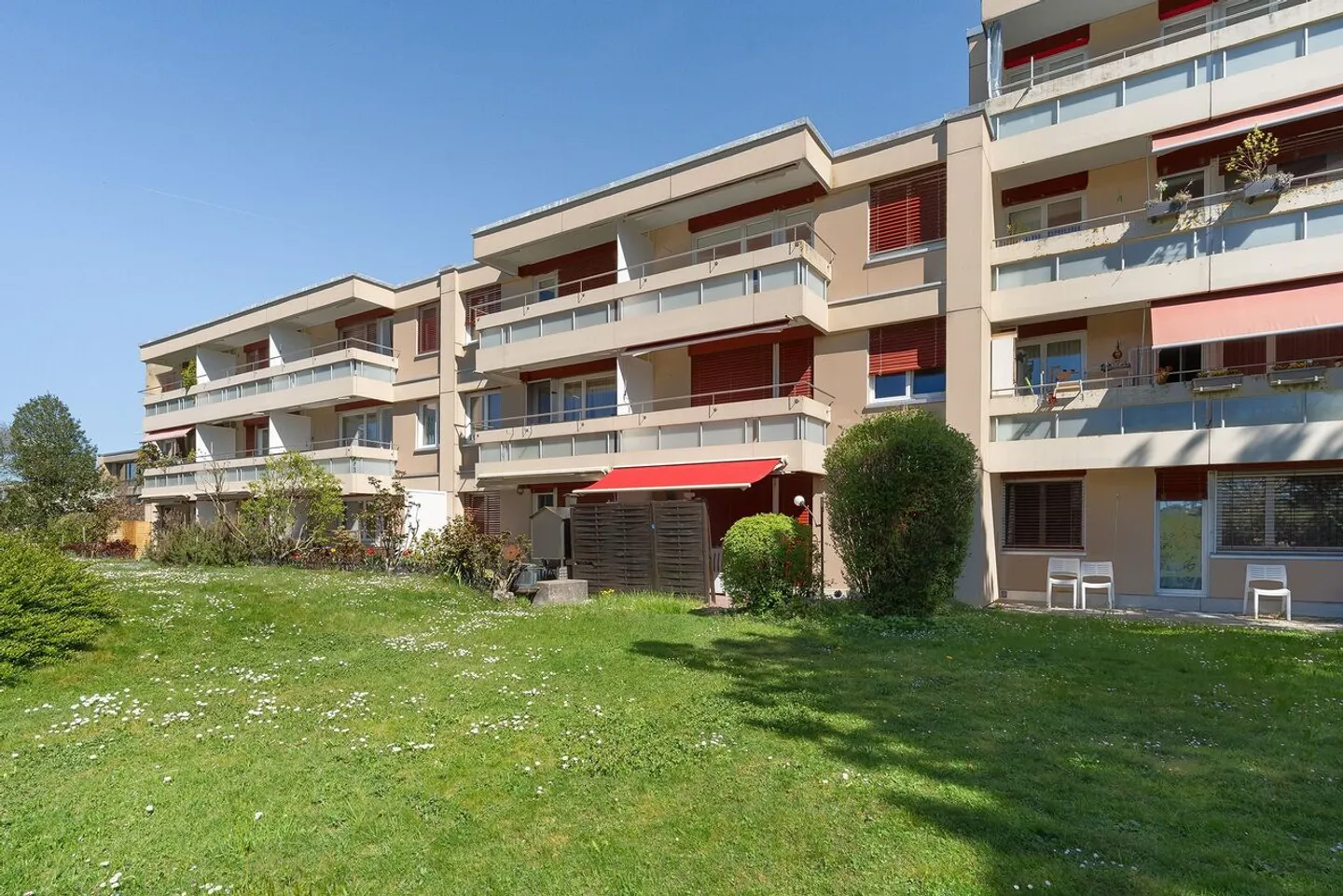 Light-Filled Home for Your Living Ideas - Photo 5 of 6