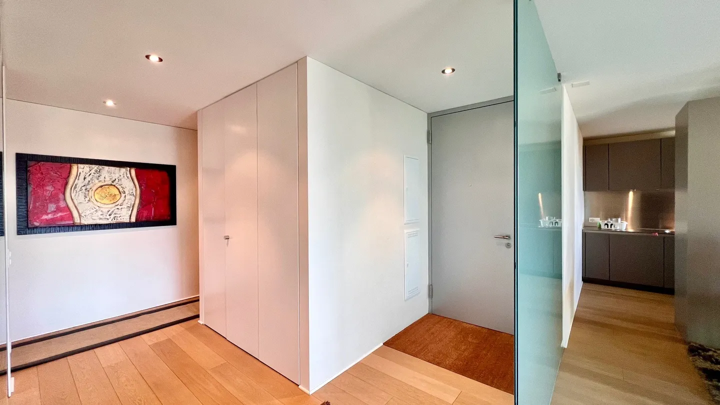 Appartamento moderno a Paradiso - Foto 2 di 16