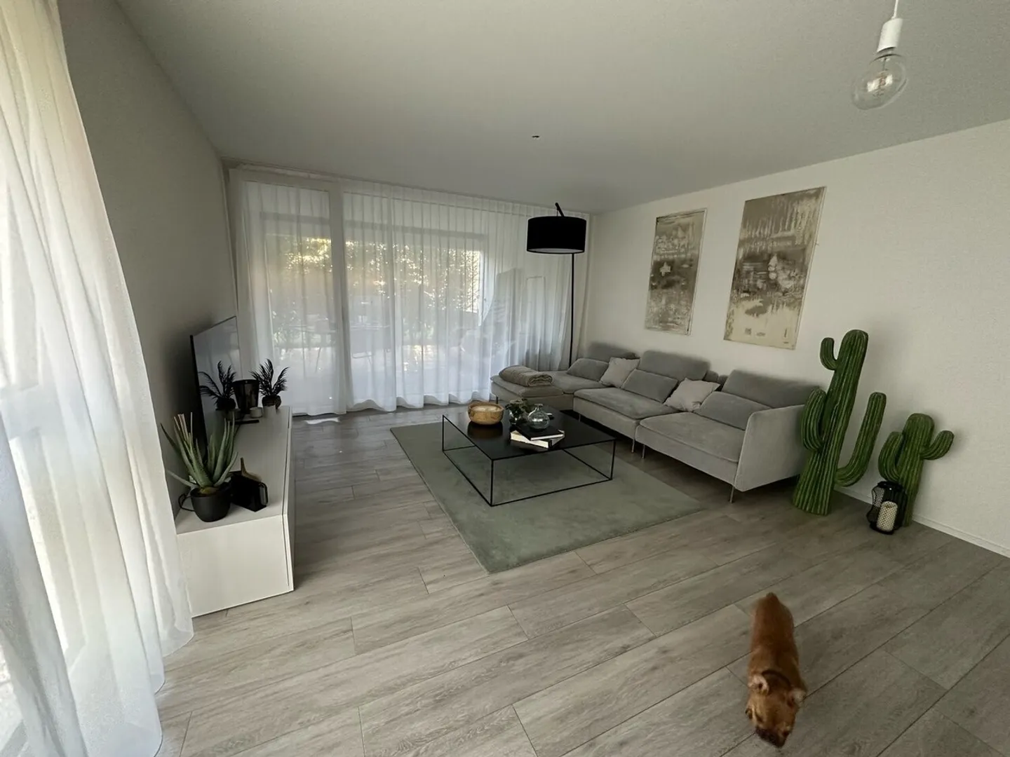 MAGNIFIK Unterbringung! - Foto 12 von 13