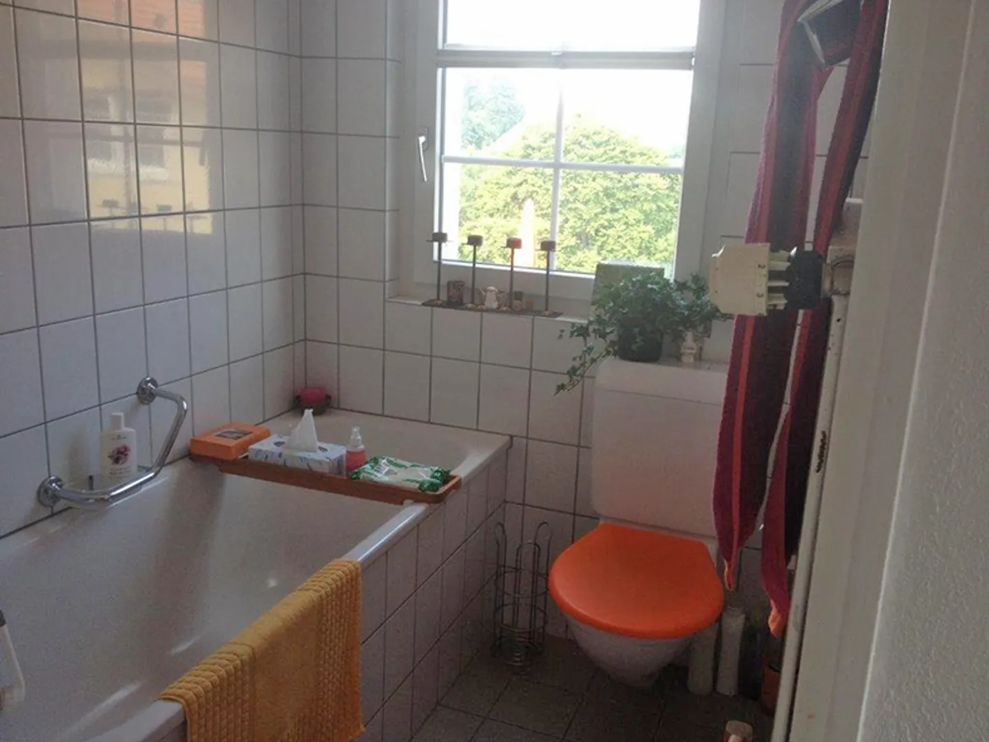 Charmante appartement sous les combles avec accès au jardin dans une maison Appenzeller - Photo 11 sur 12