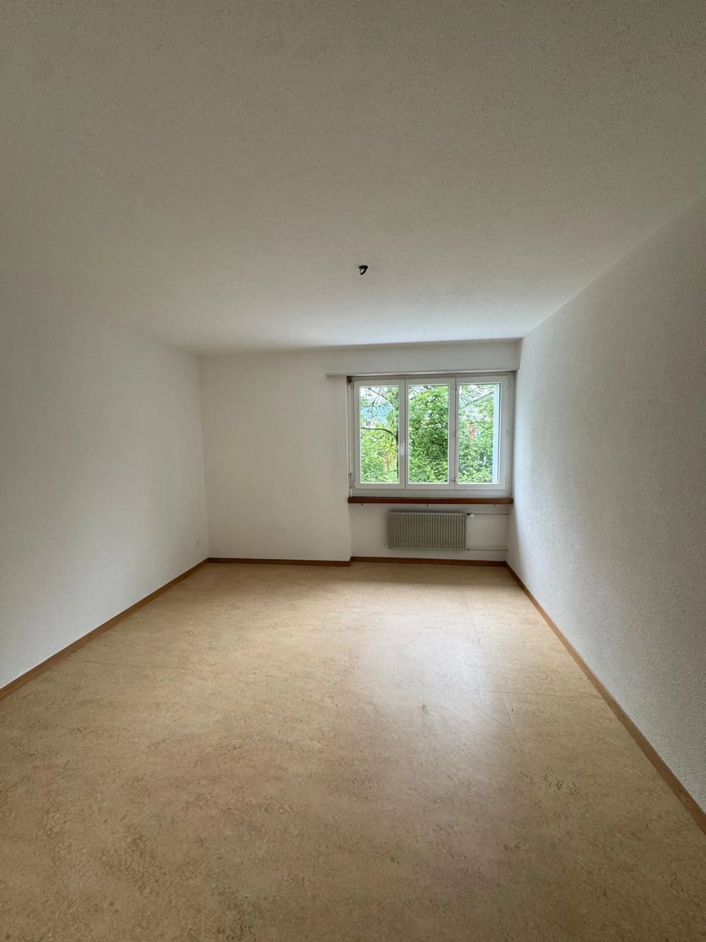 Appartamento in affitto - Foto 6 di 8