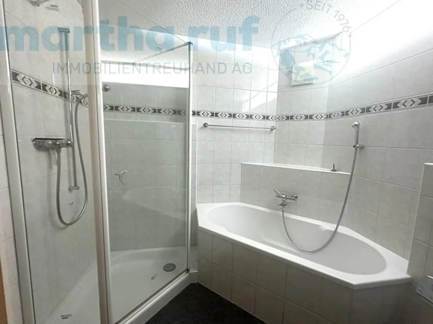 Appartamento attraente di 3,5 stanze sull'Aare con una vista panoramica mozzafiato delle montagne - Foto 11 di 17