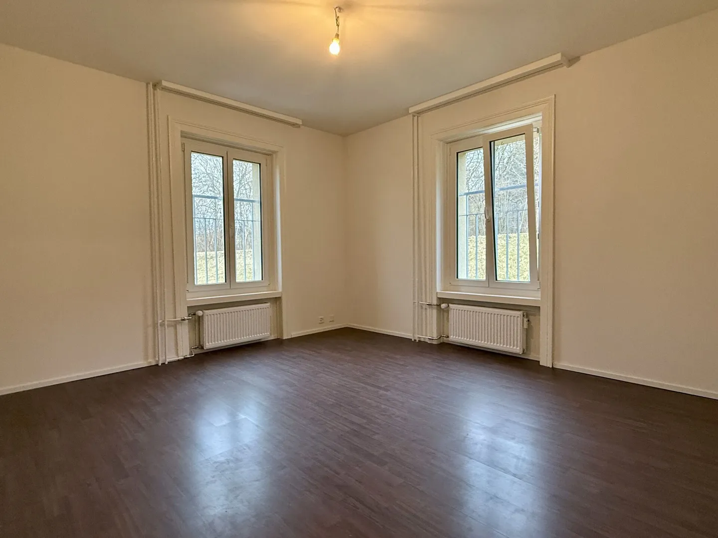 IMMOBILE D'INVESTIMENTO VICINO AL GÜBSENSEE - Foto 7 di 7