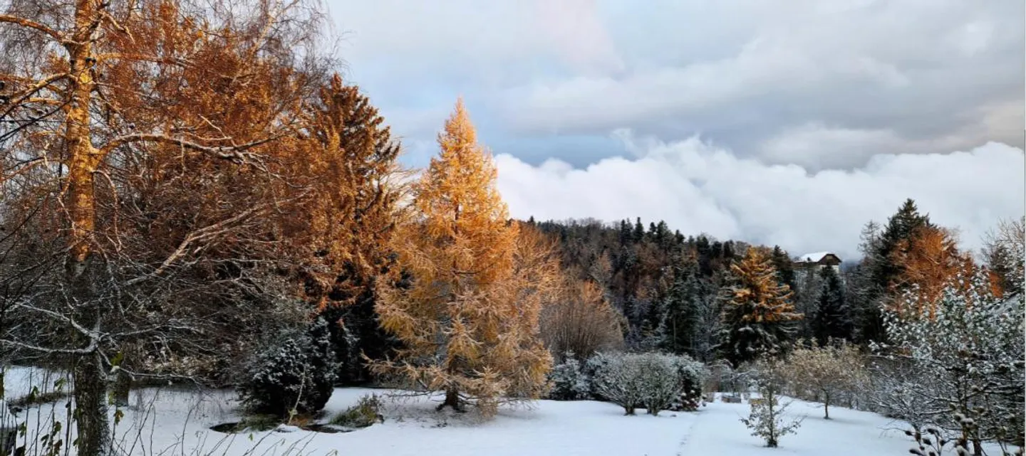 Prächtiges Dorfhaus mit 3 Wohnungen - Foto 9 von 13